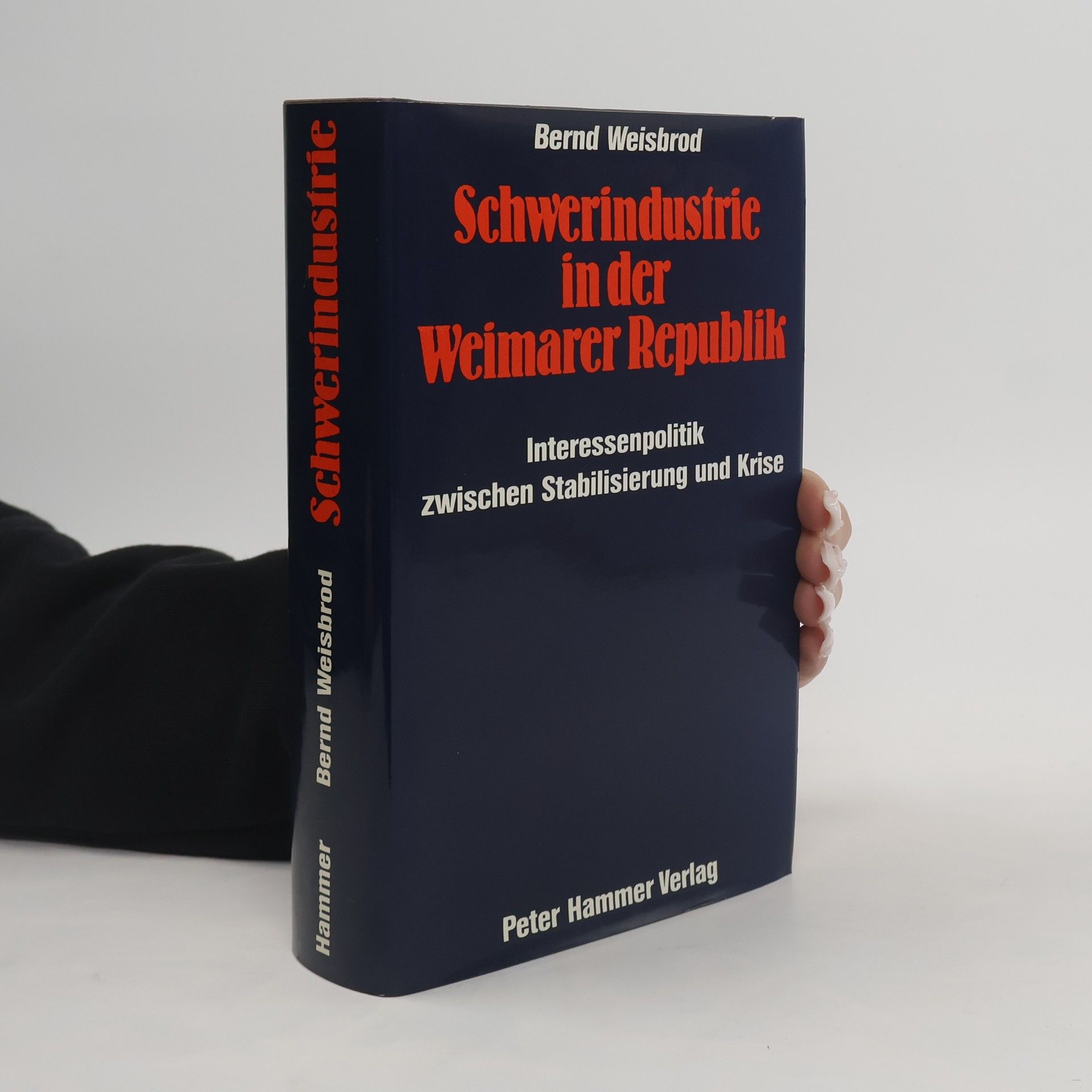 Bernd Weisbrod Schwerindustrie in der Weimarer Republik