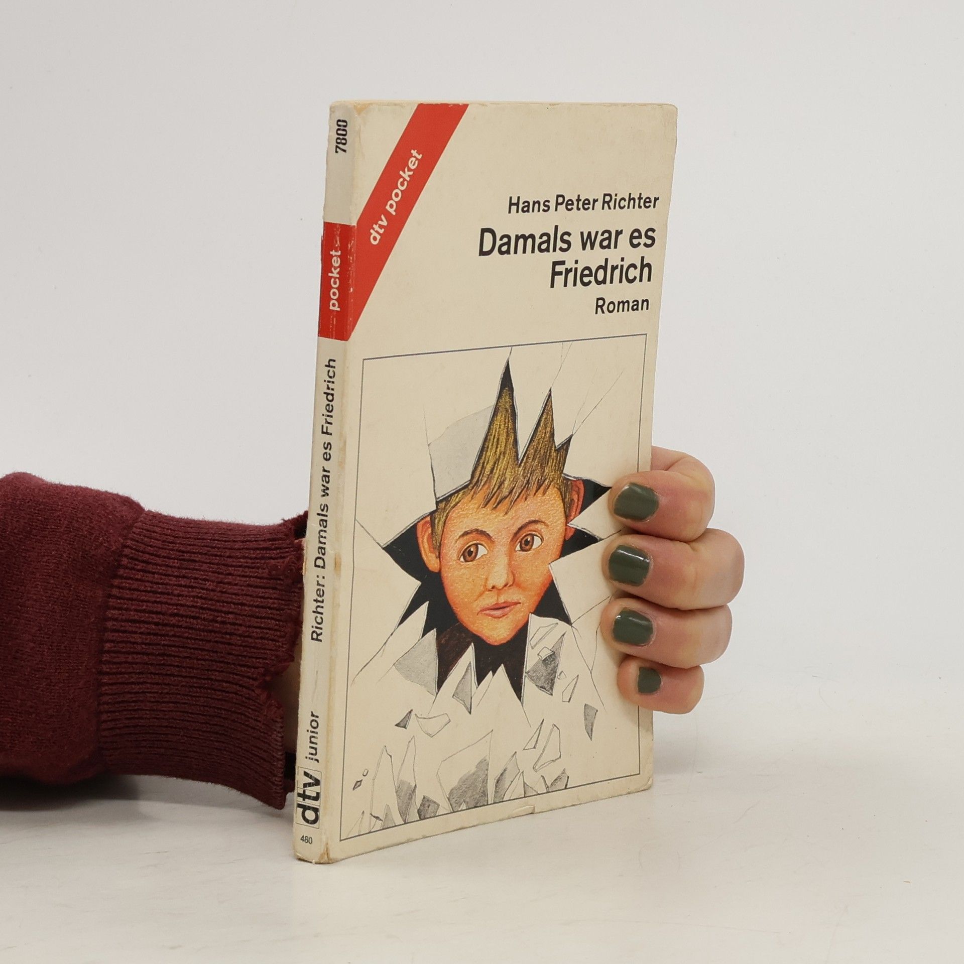 Hans Peter Richter Damals war es Friedrich