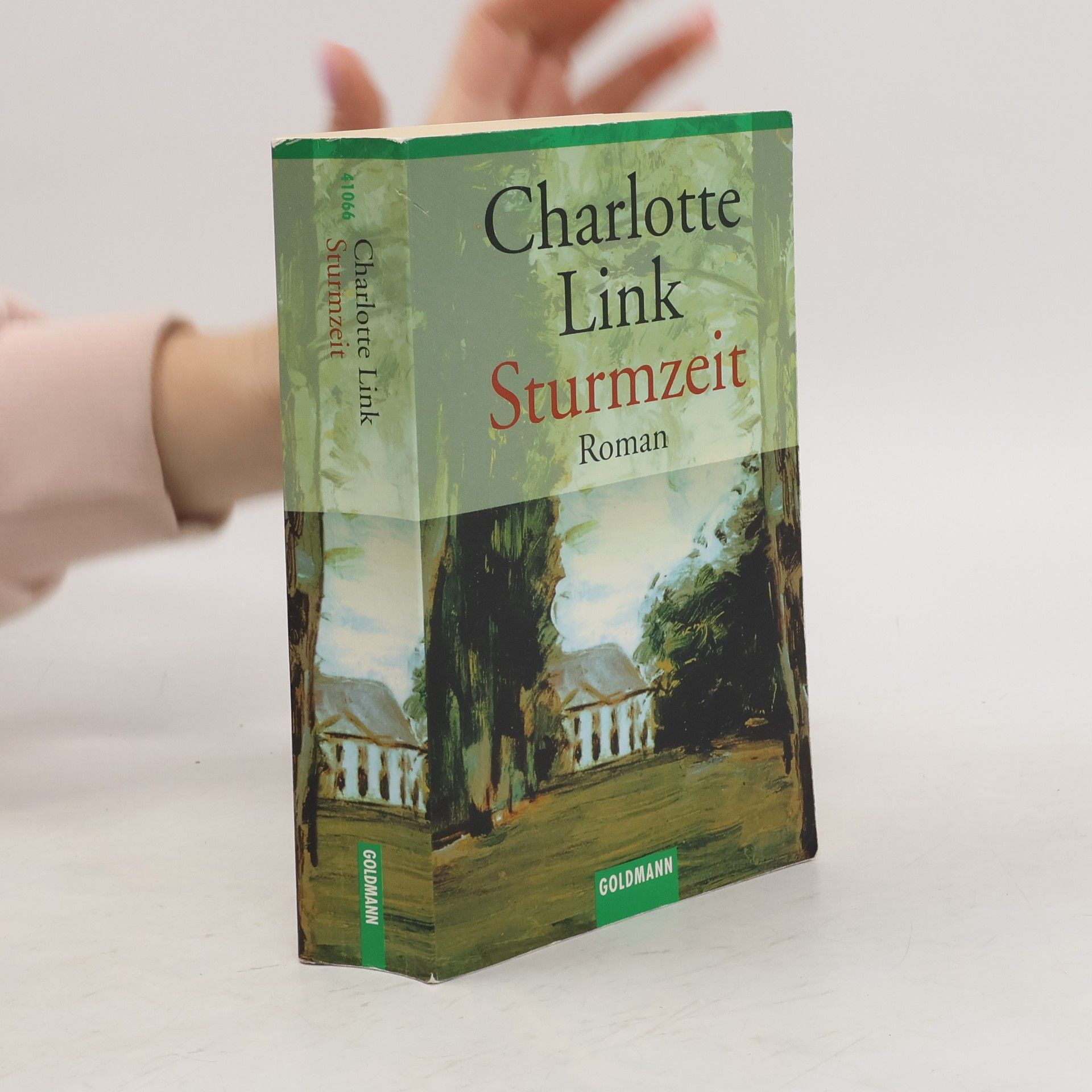 Charlotte Link Sturmzeit