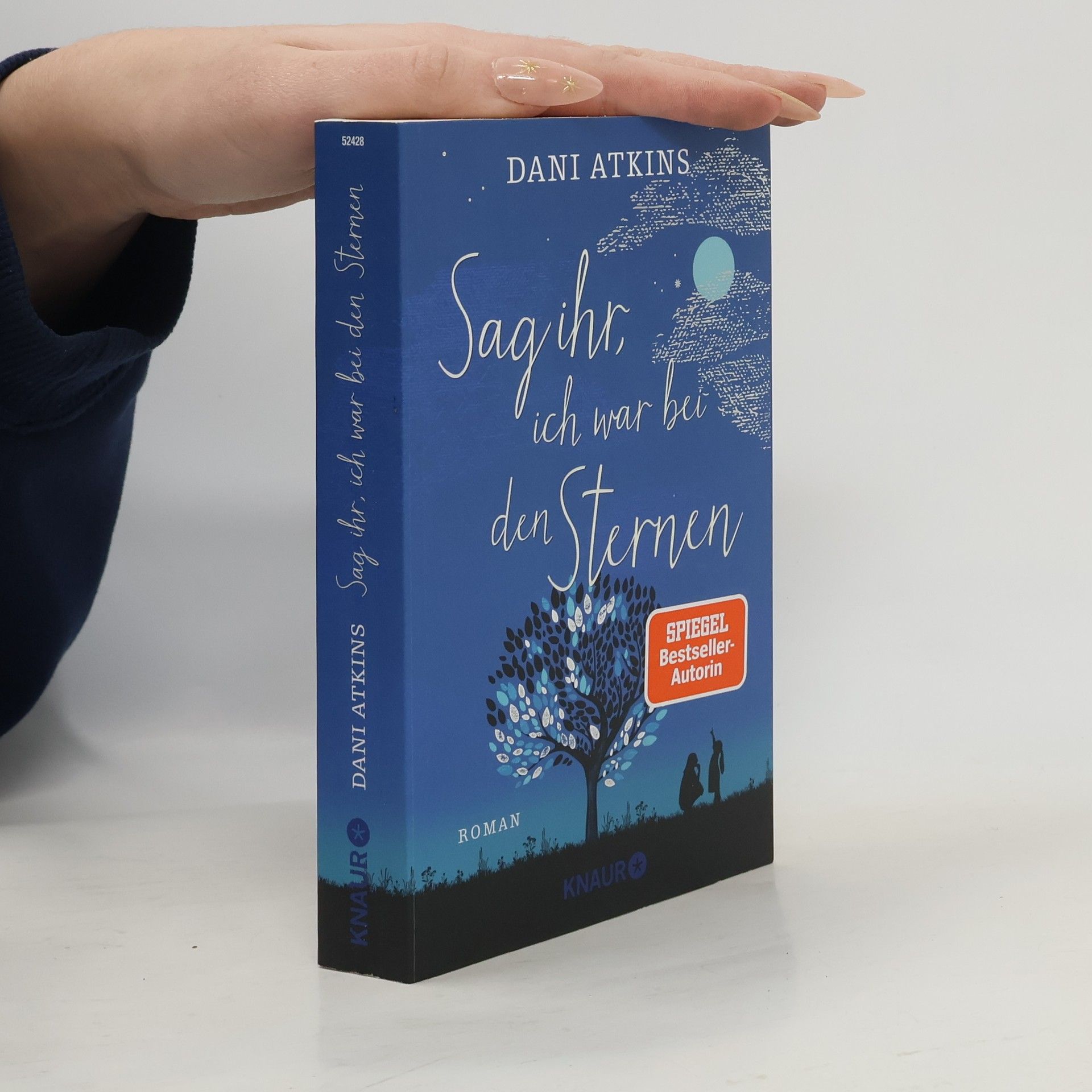 Dani Atkins Sag ihr, ich war bei den Sternen