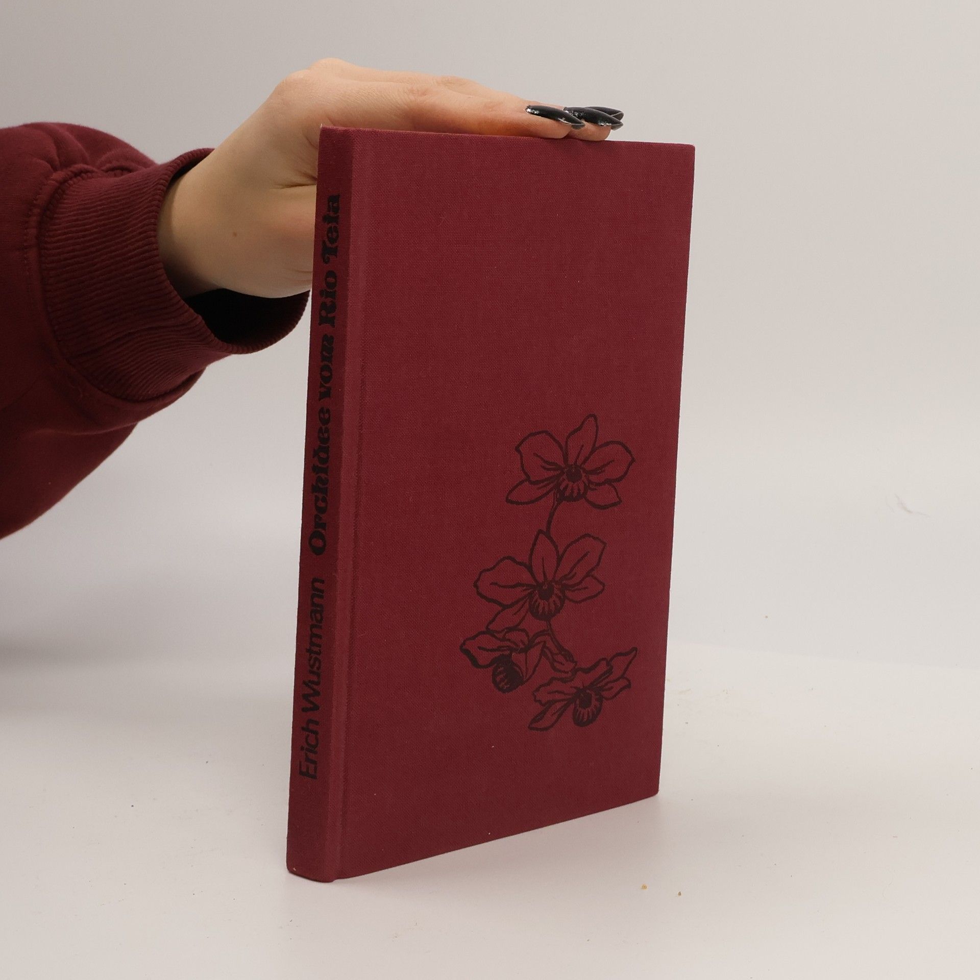 Orchidee vom Rio Teia : Zwischen Urwaldhütte und Fazenda