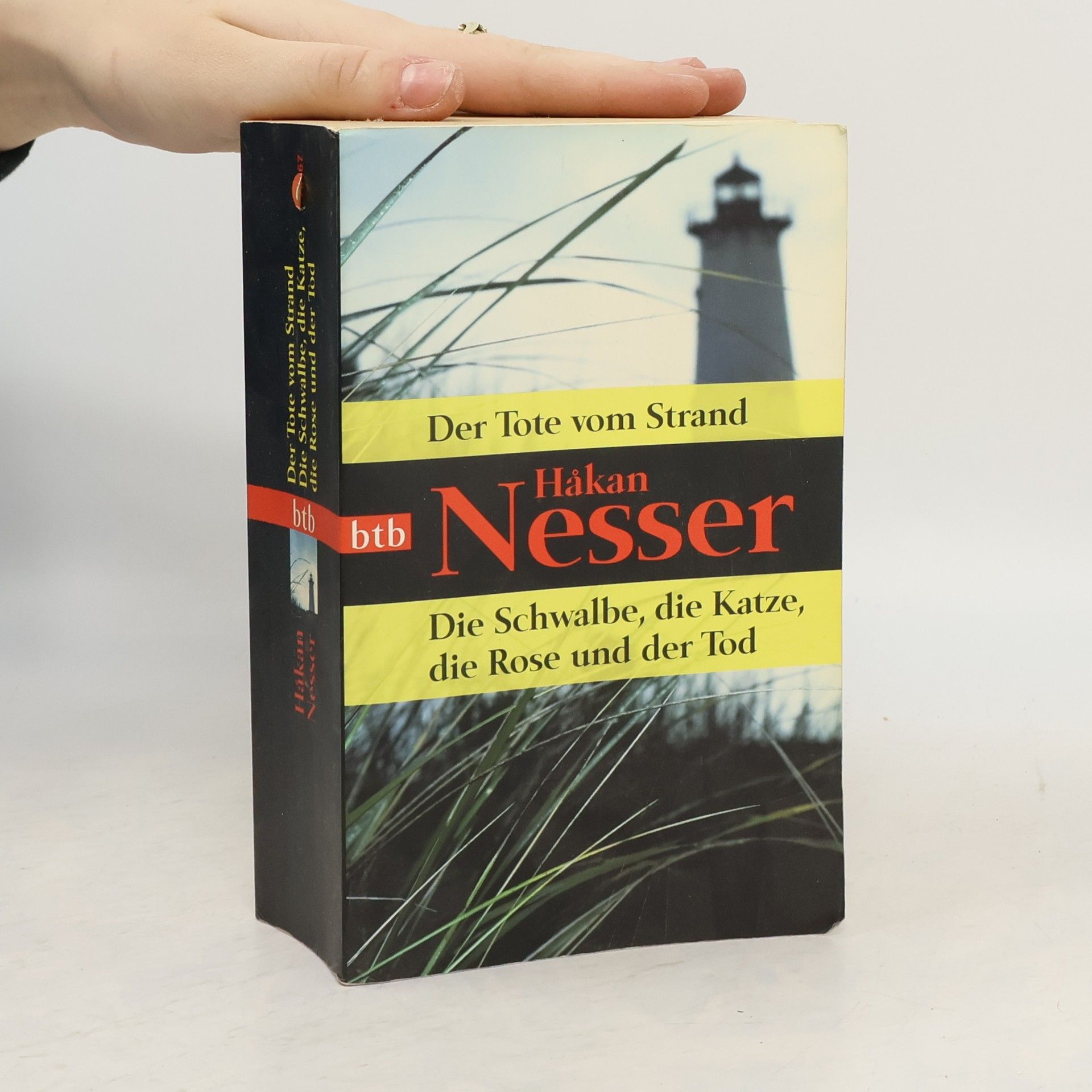 Håkan Nesser Der Tote vom Strand