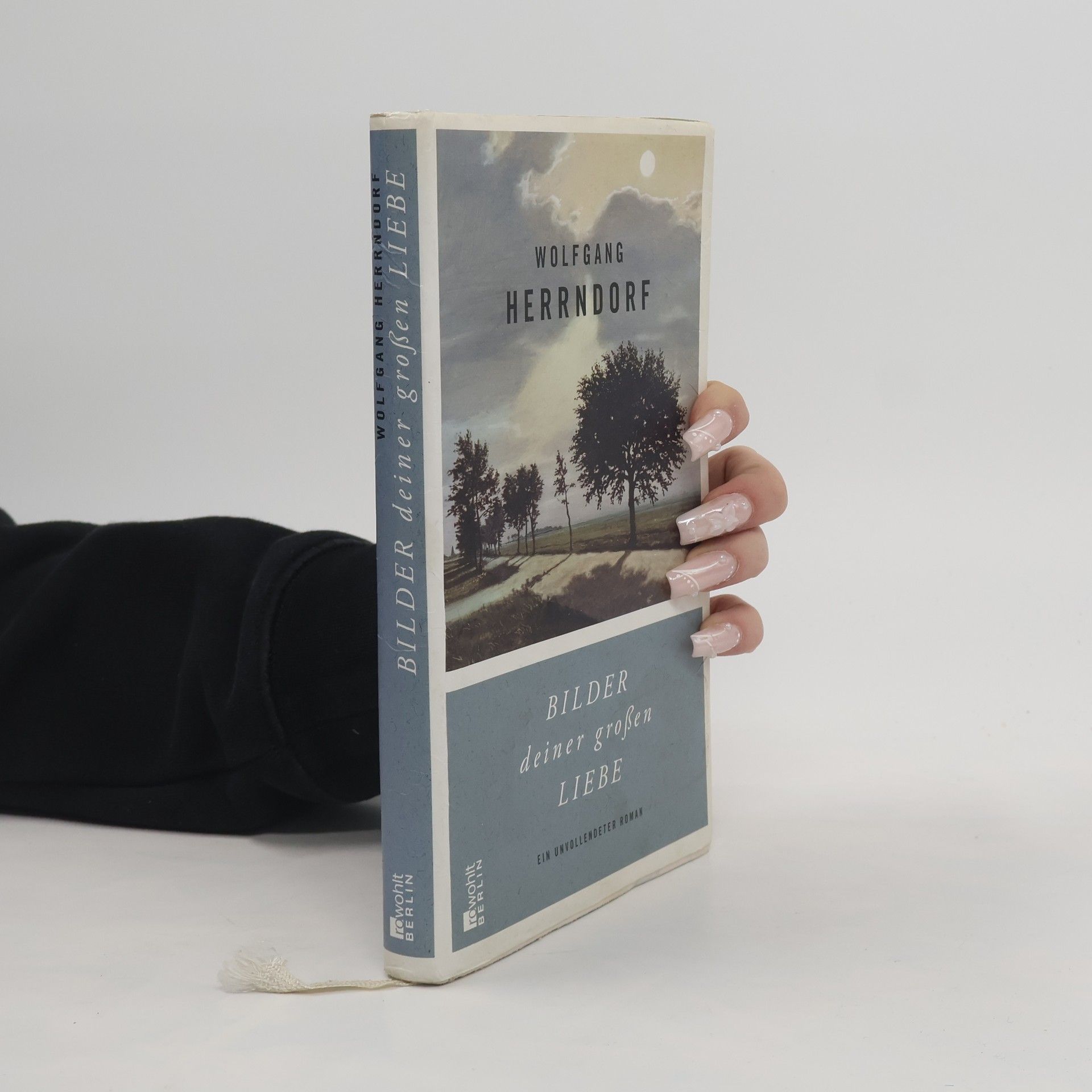 Bilder deiner großen Liebe : ein unvollendeter Roman