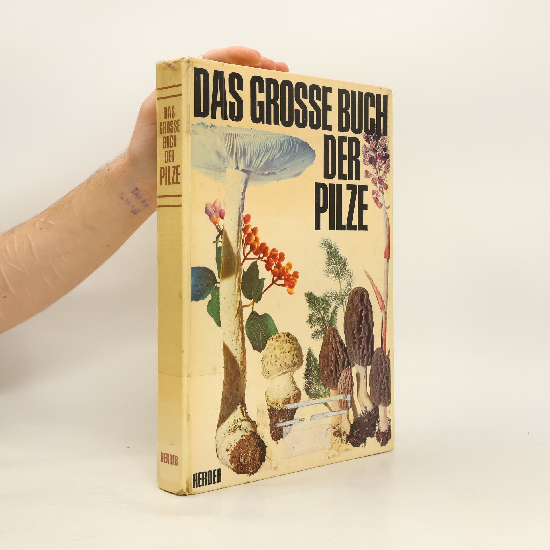 Jakob Schlittler Das grosse Buch der Pilze