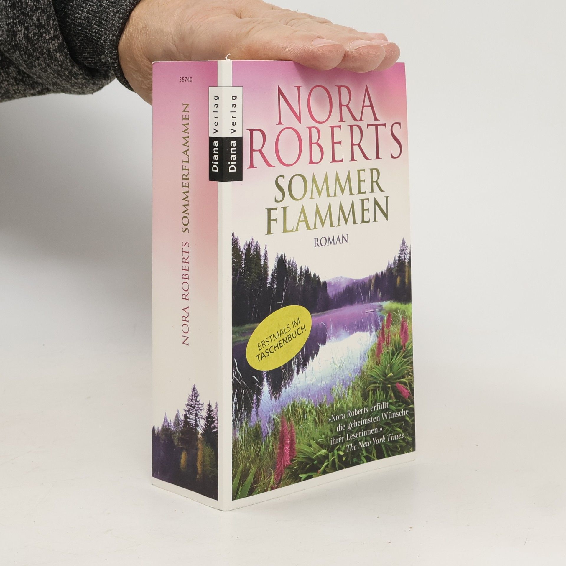 Nora Roberts Sommer Flammen