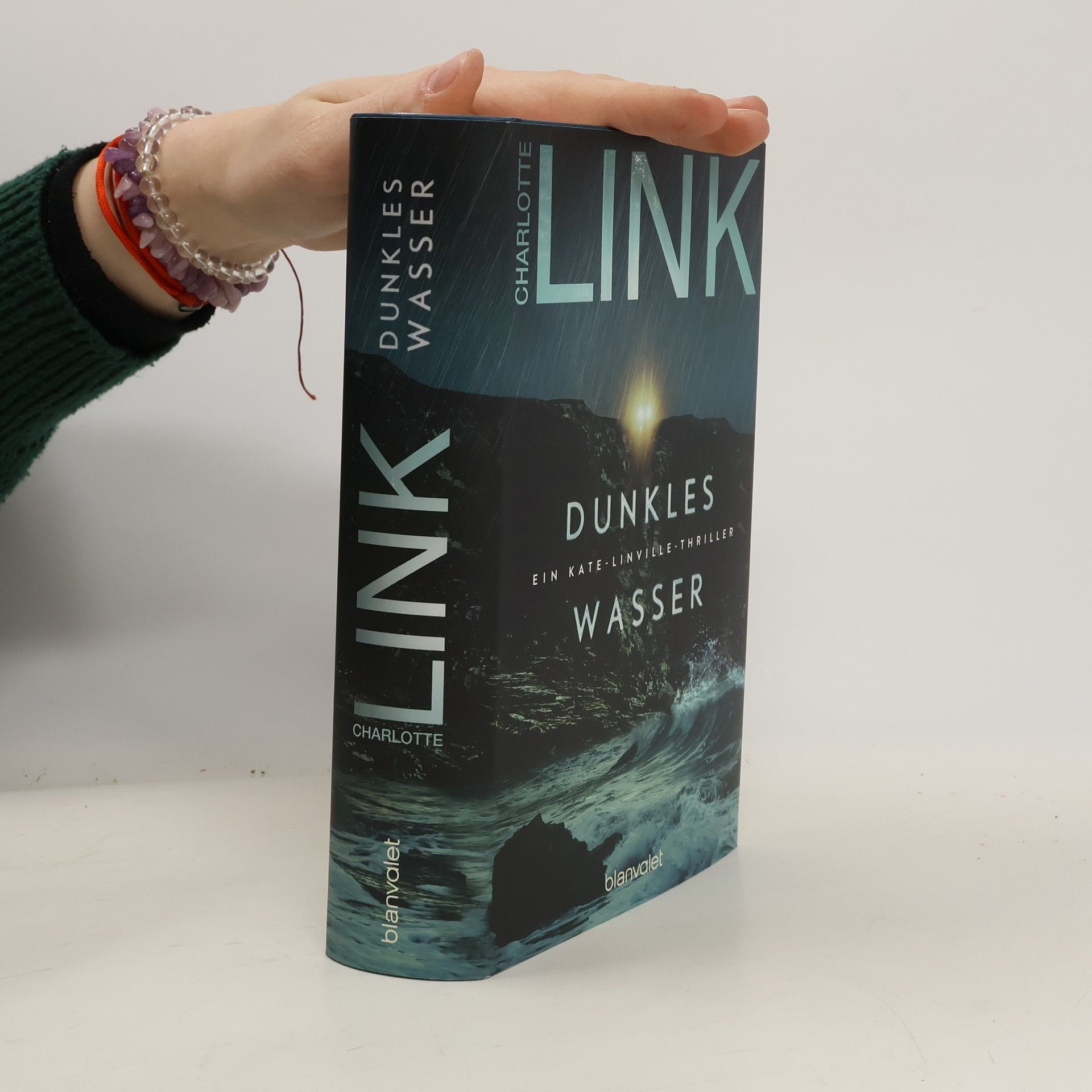 Charlotte Link Dunkles Wasser