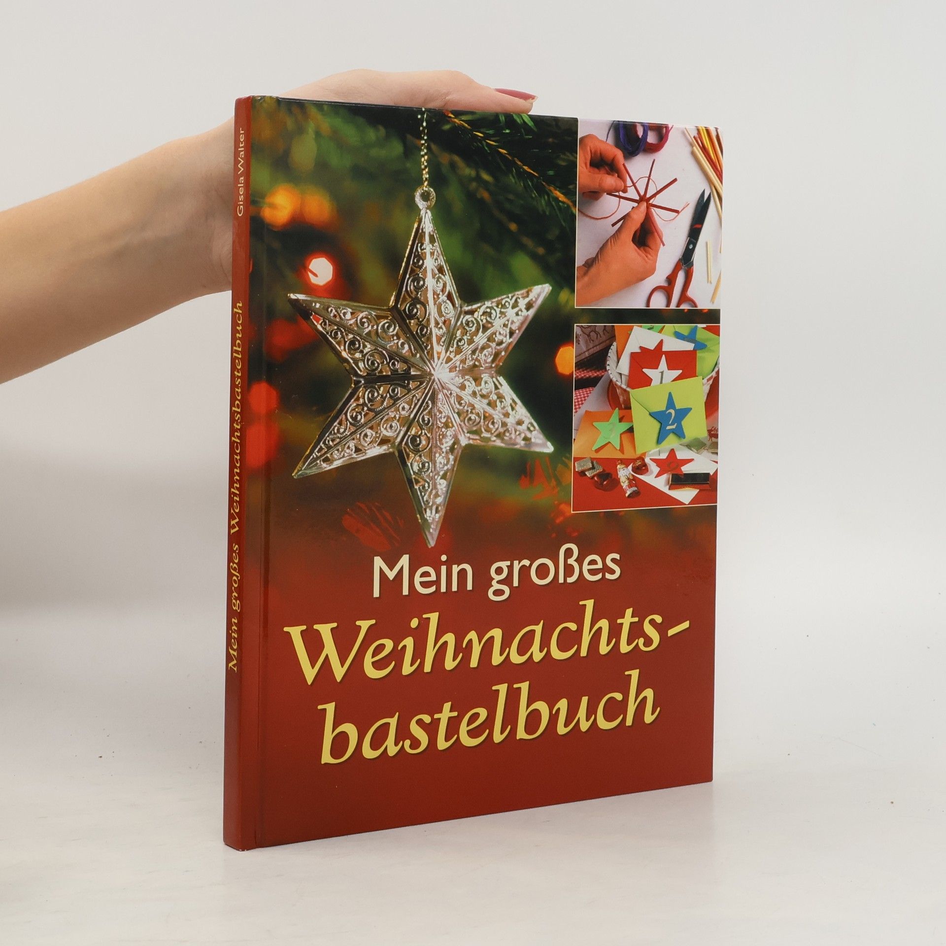 Autores varios Mein großes Weihnachtsbastelbuch