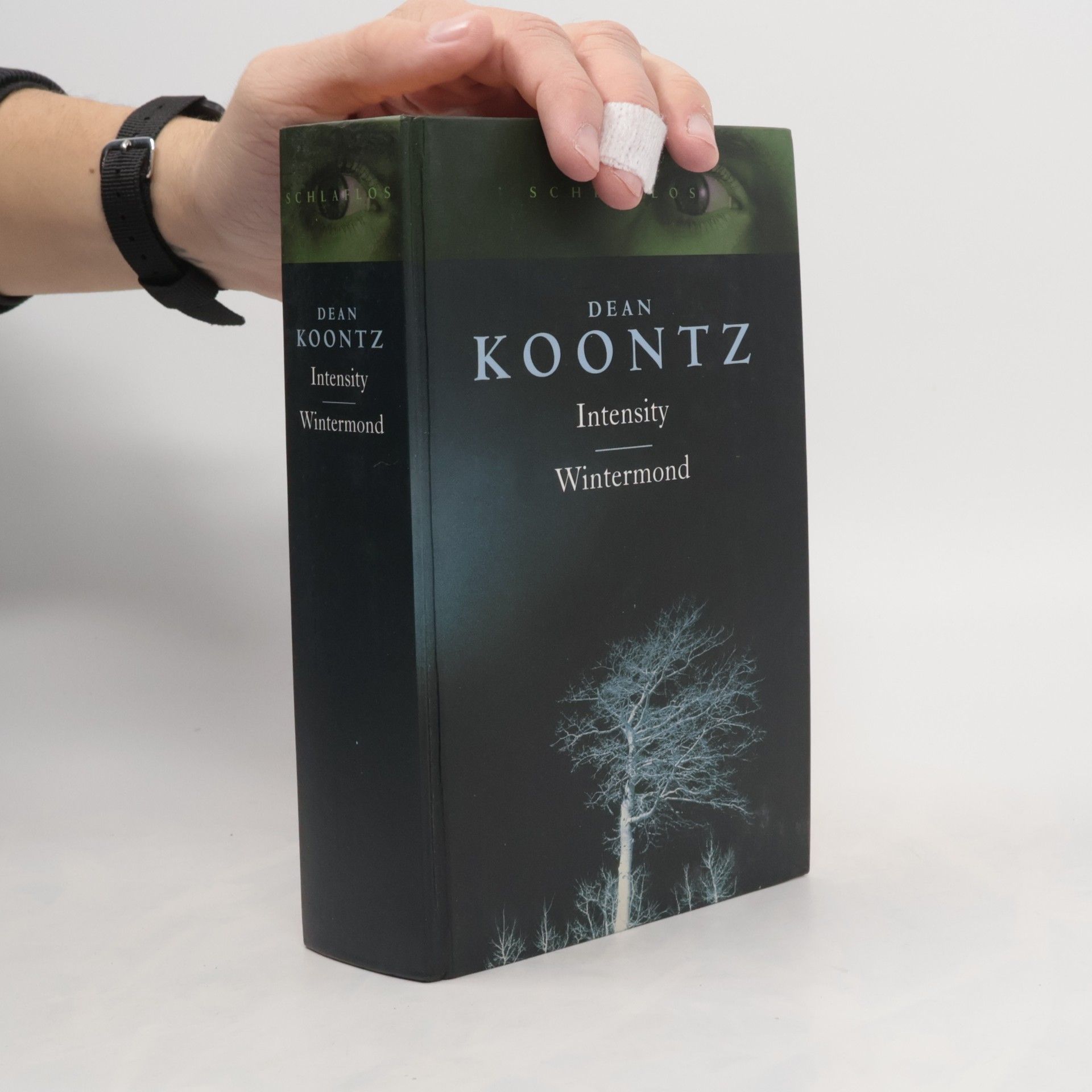 Dean R. Koontz Intensity / Wintermond