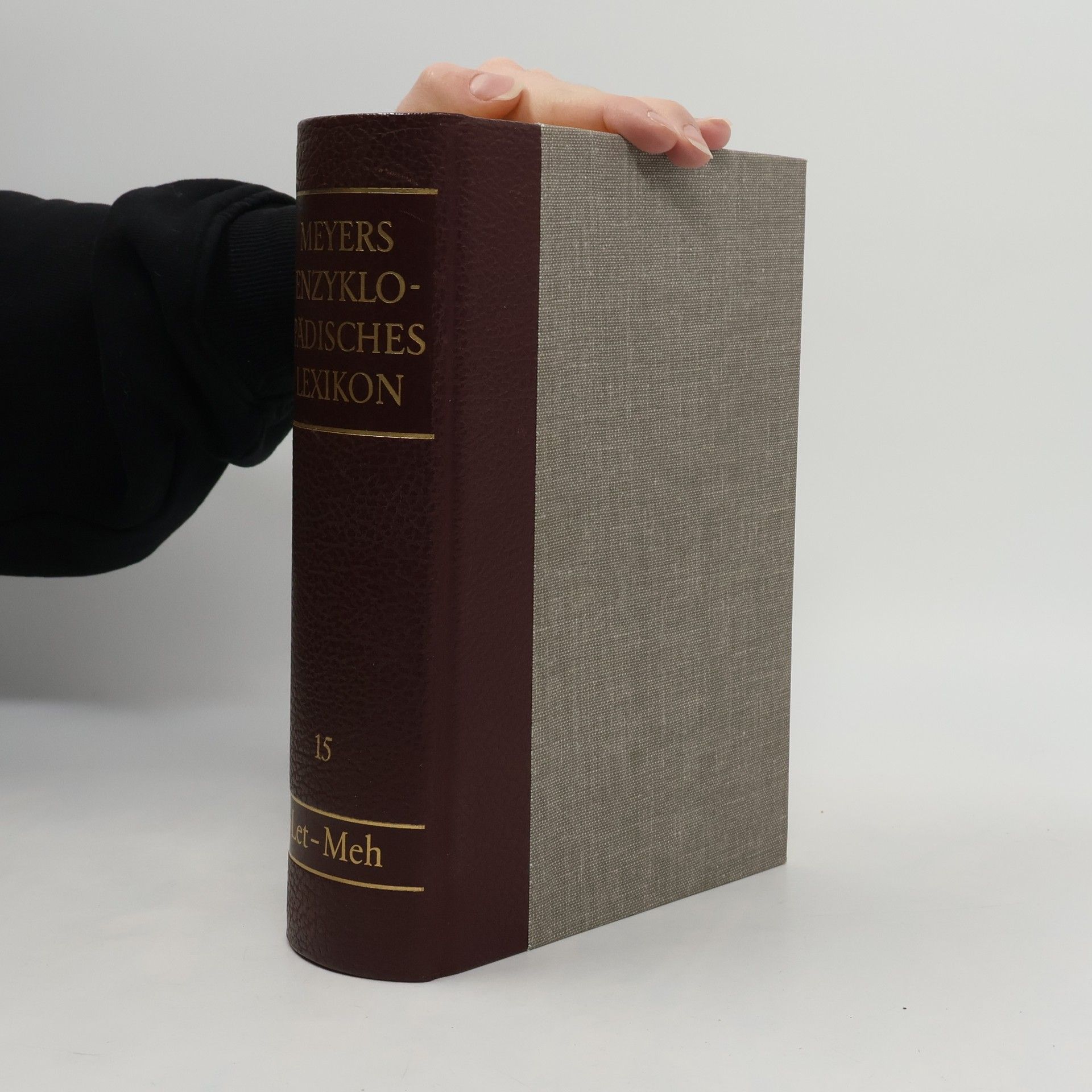 Autorenkollektiv Meyers Enzyklopädisches Lexikon. Band 15 Let-Meh