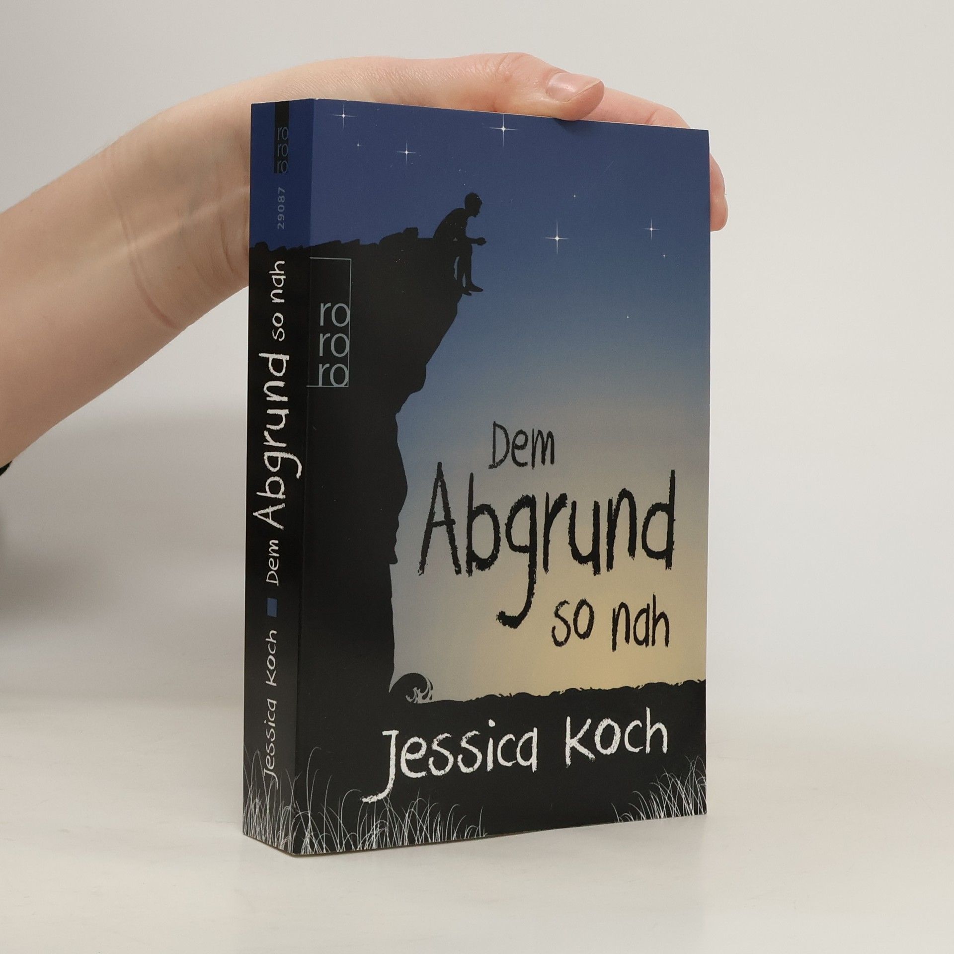 Jessica Koch Dem Abgrund so nah