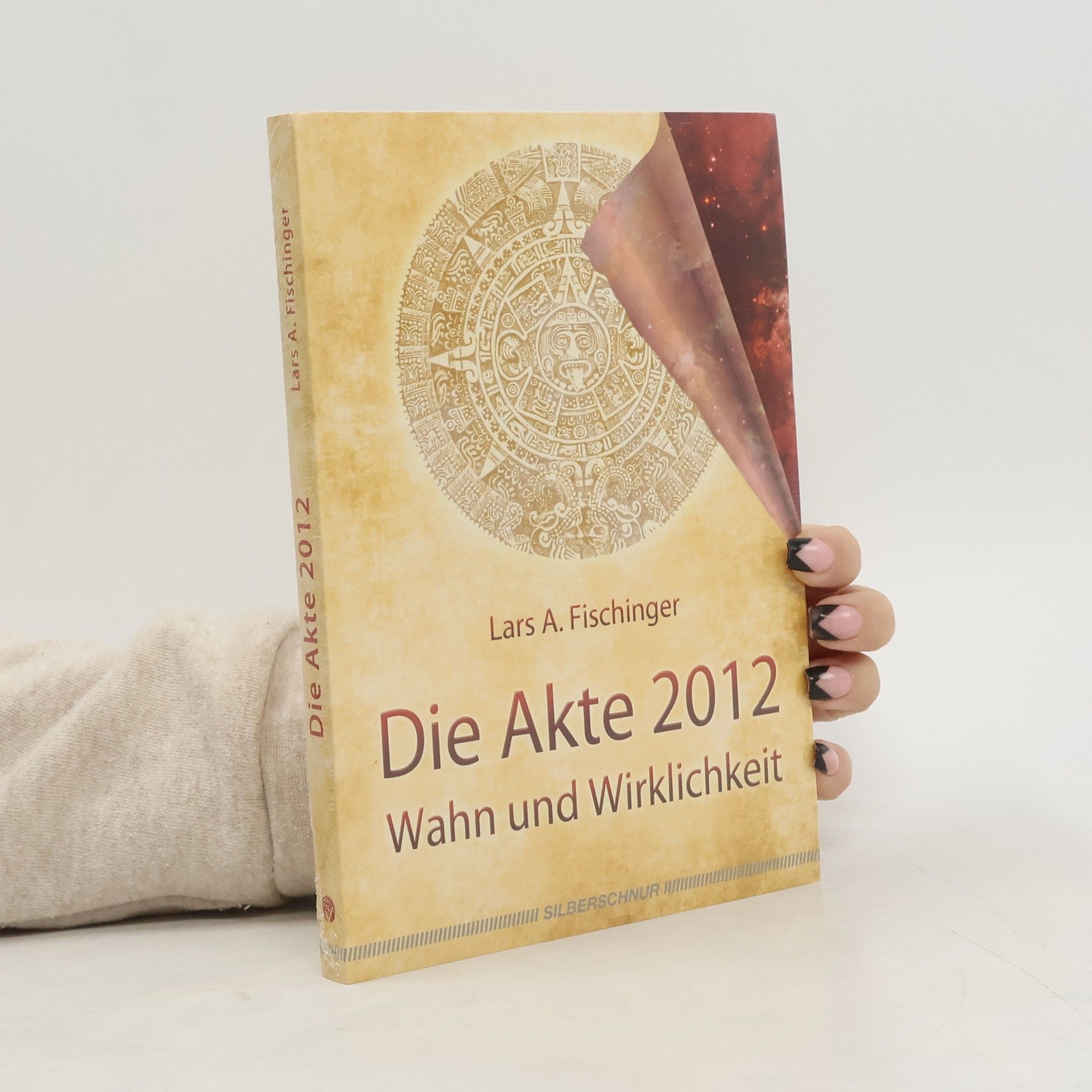 Lars A. Fisinger Die Akte 2012
