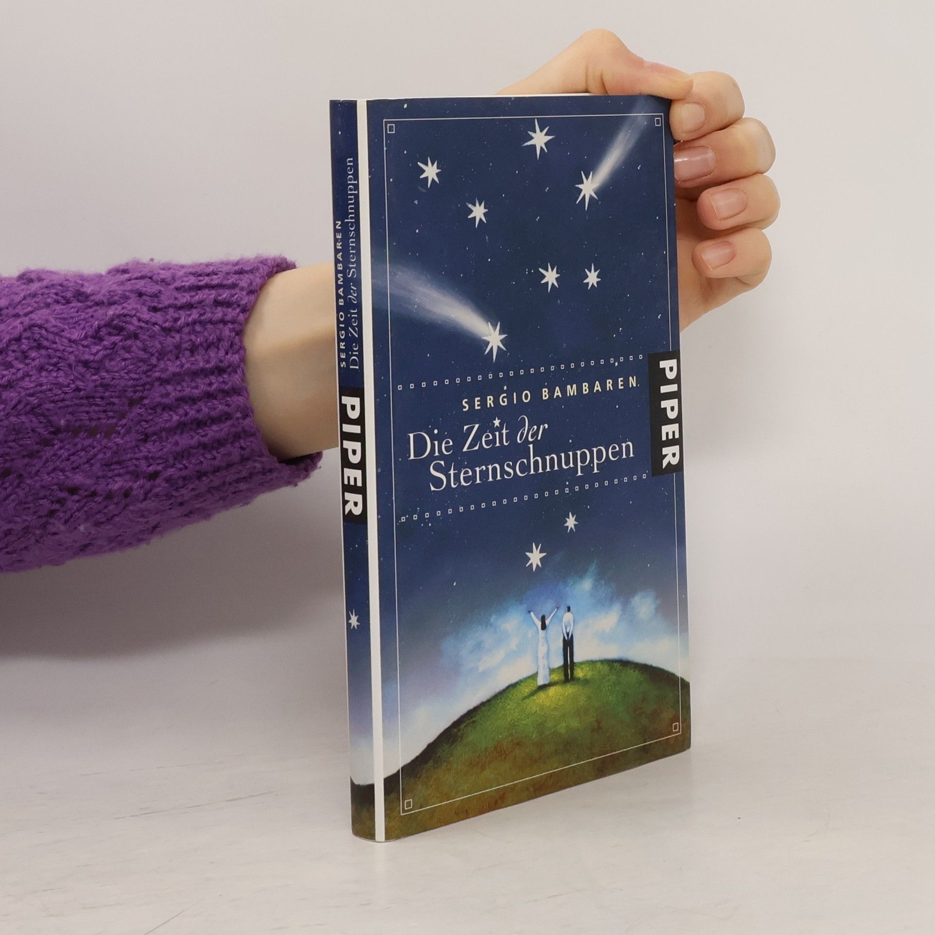 Die Zeit der Sternschnuppen