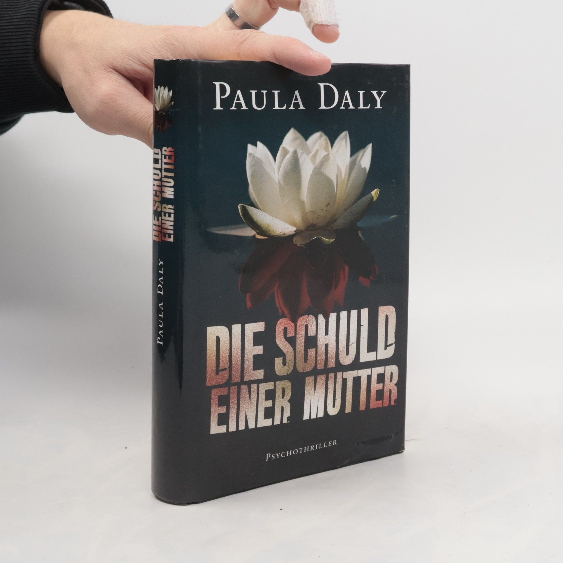 Paula Daly Die Schuld einer Mutter