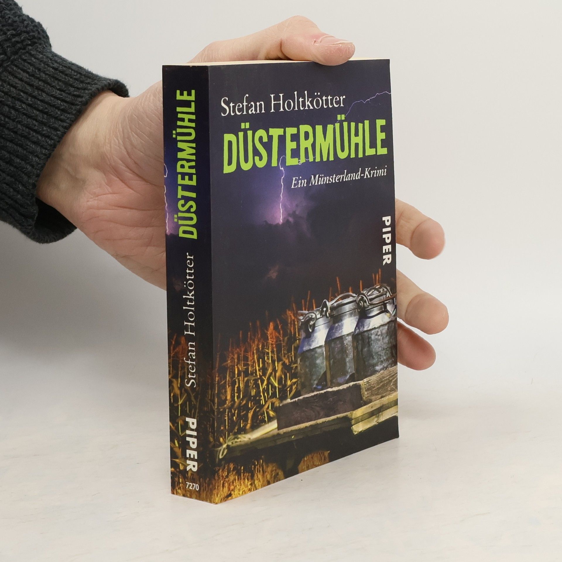 Stefan Holtkötter Düstermühle