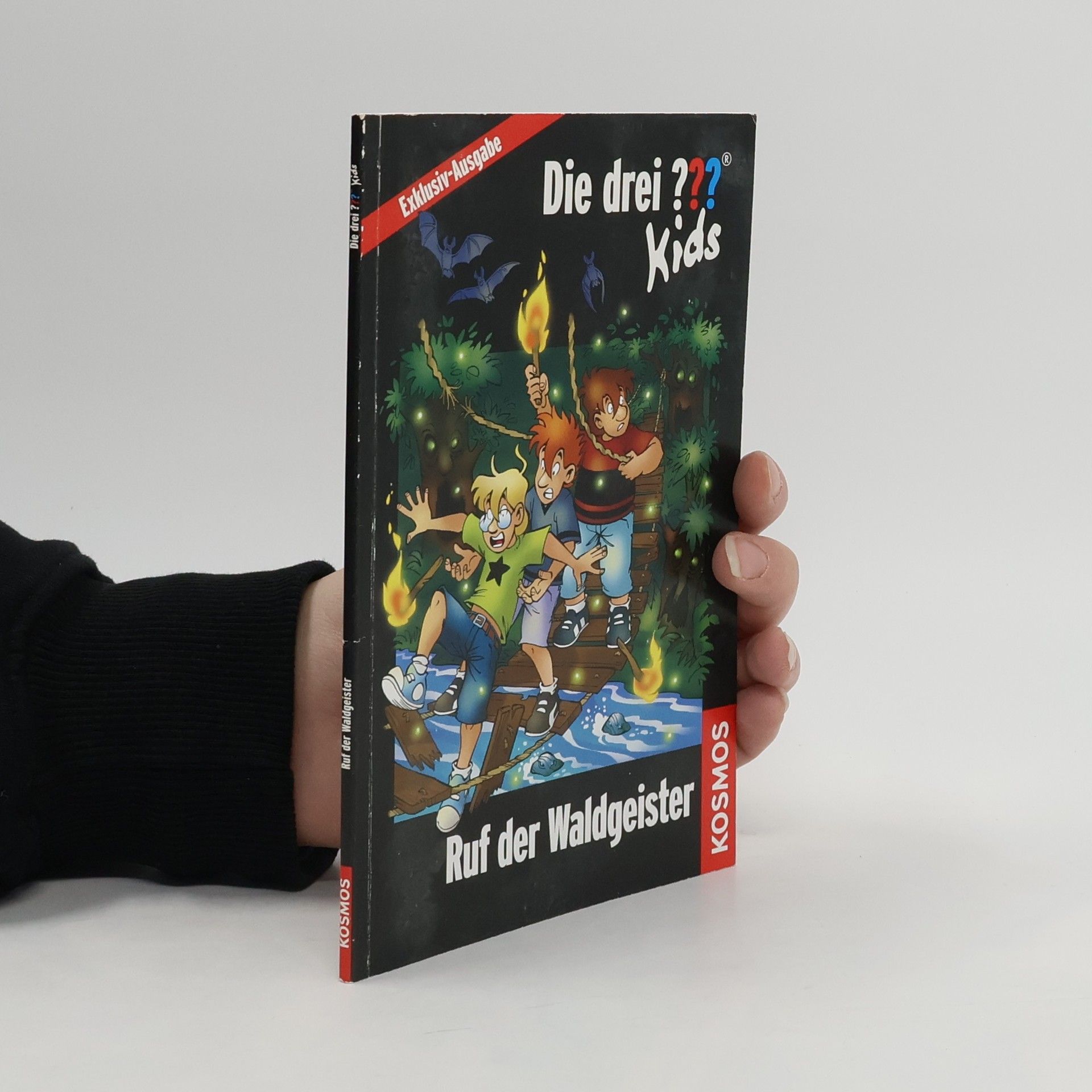 Ulf Blanck Die drei ??? Kids. Ruf der Waldgeister