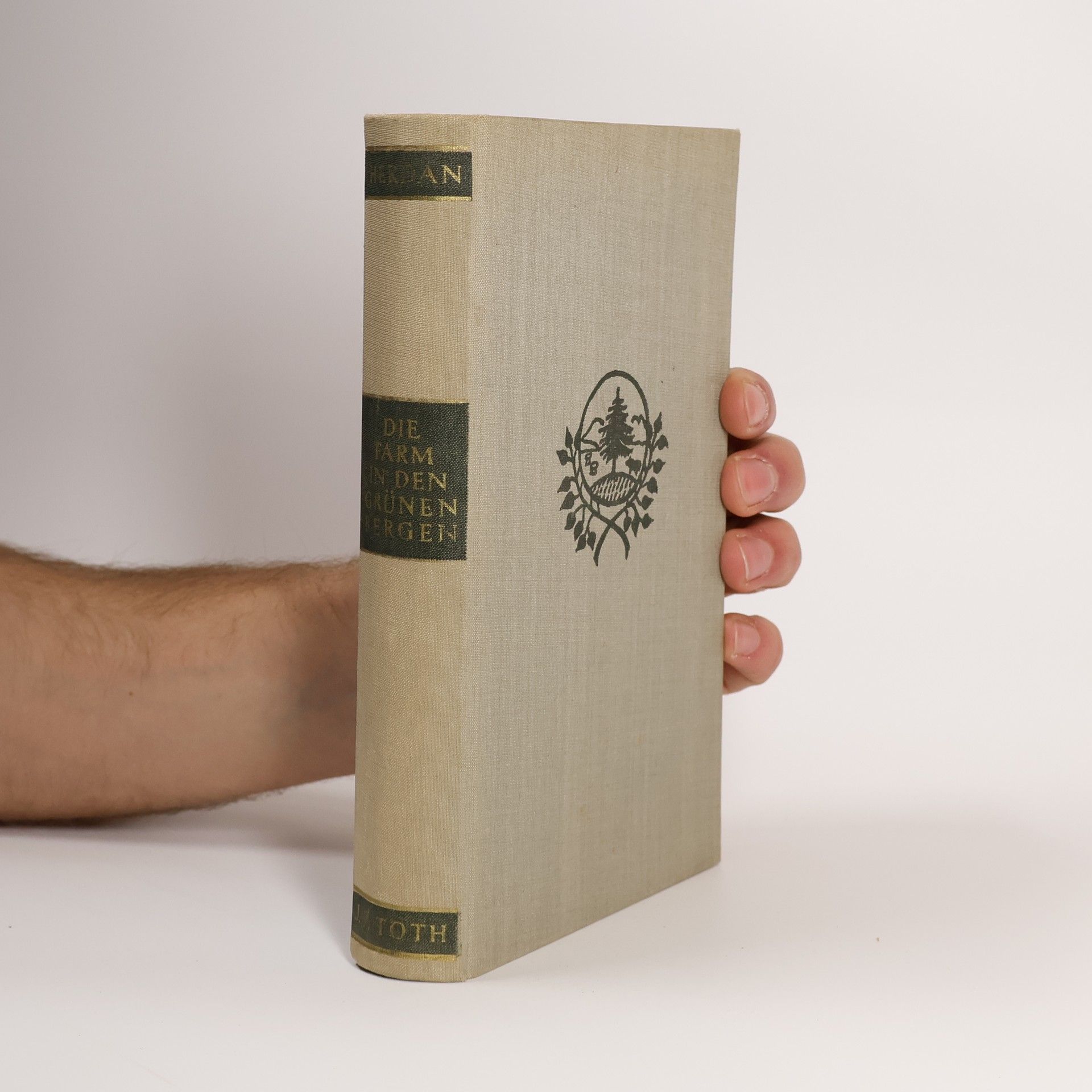 Die Farm in den grünen Bergen