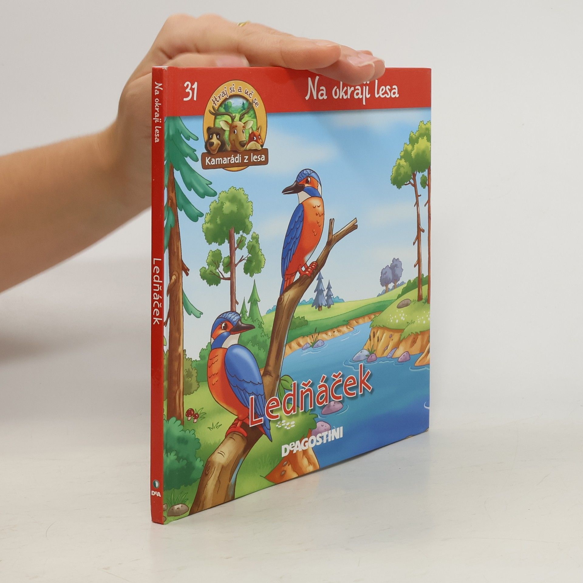 Kolektiv autorů Ledňáček. Na okraji lesa 31