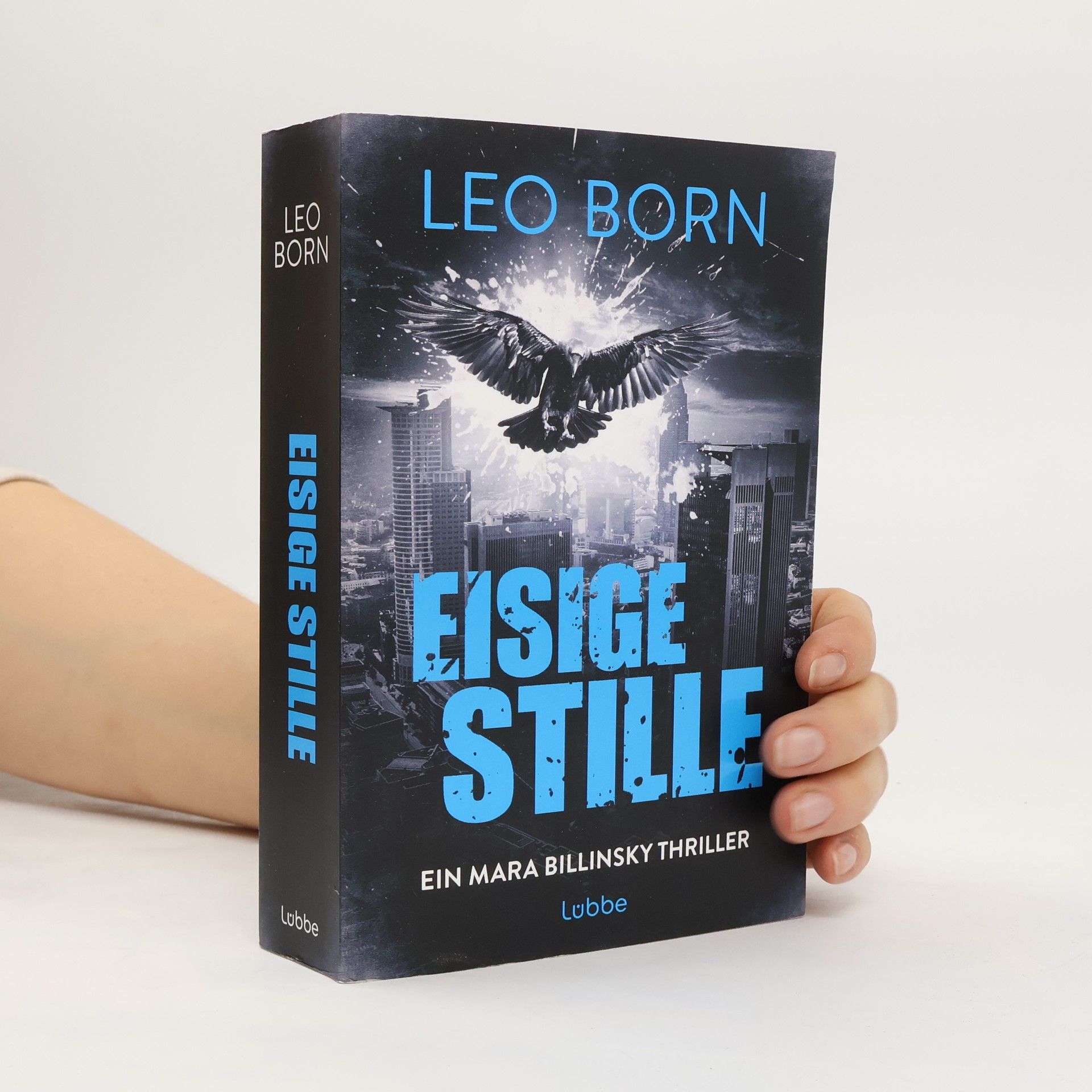 Leo Born Eisige Stille. Ein Mara-Billinsky-Thriller