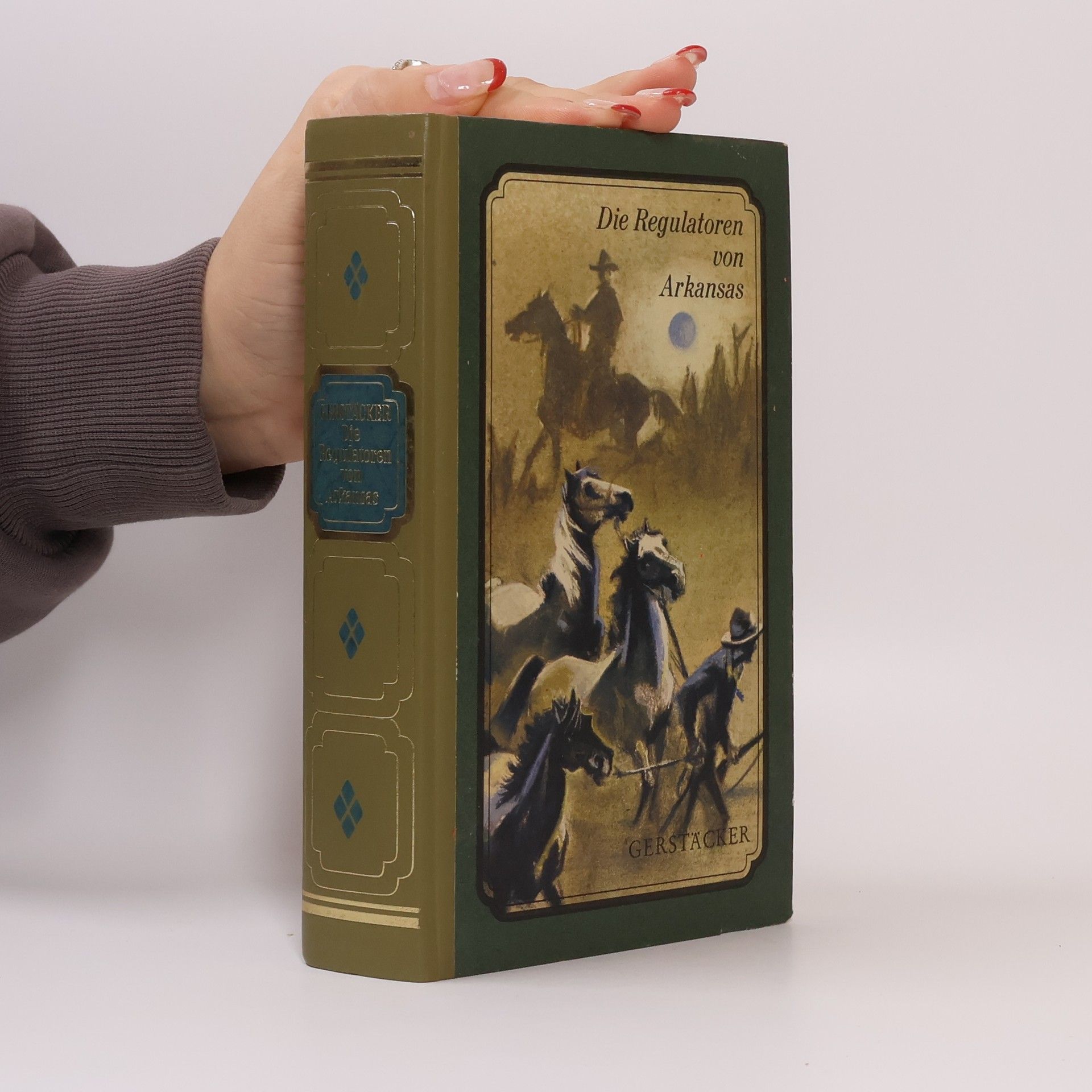 Friedrich Gerstäcker Die Regulatoren von Arkansas