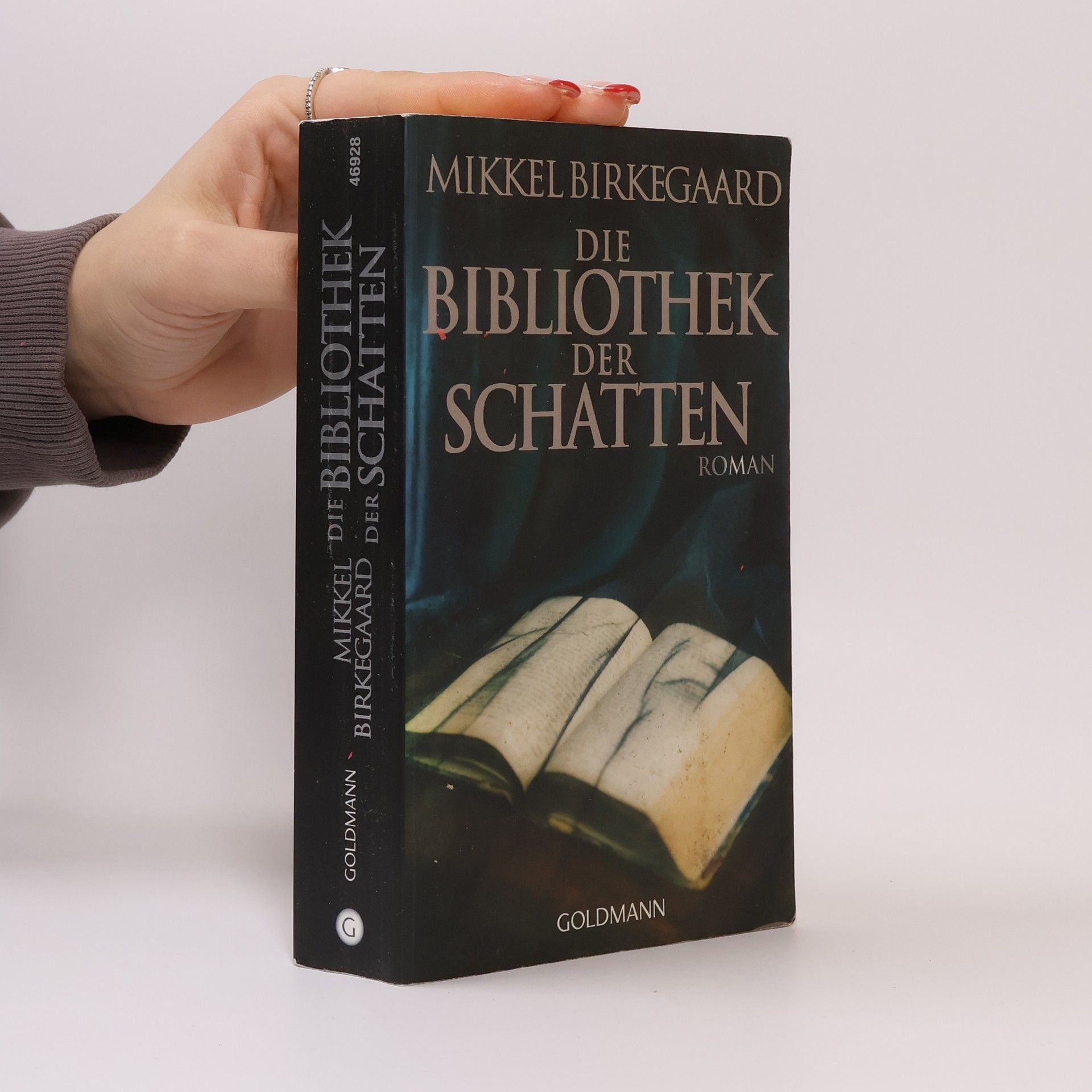 Mikkel Birkegaard Die Bibliothek der Schatten
