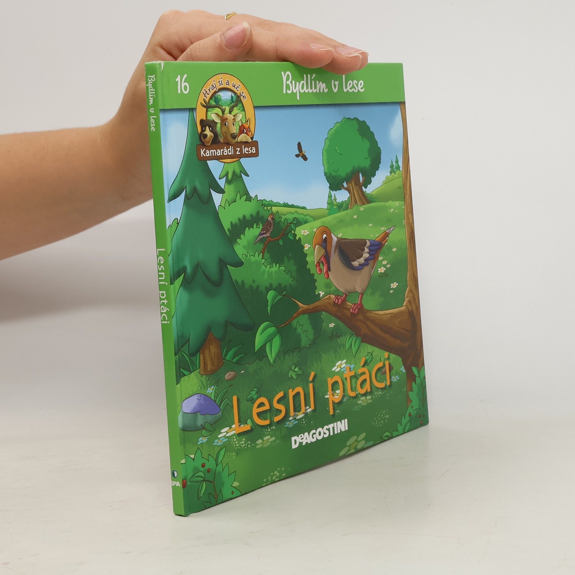 Bydlím v lese 16. Lesní ptáci