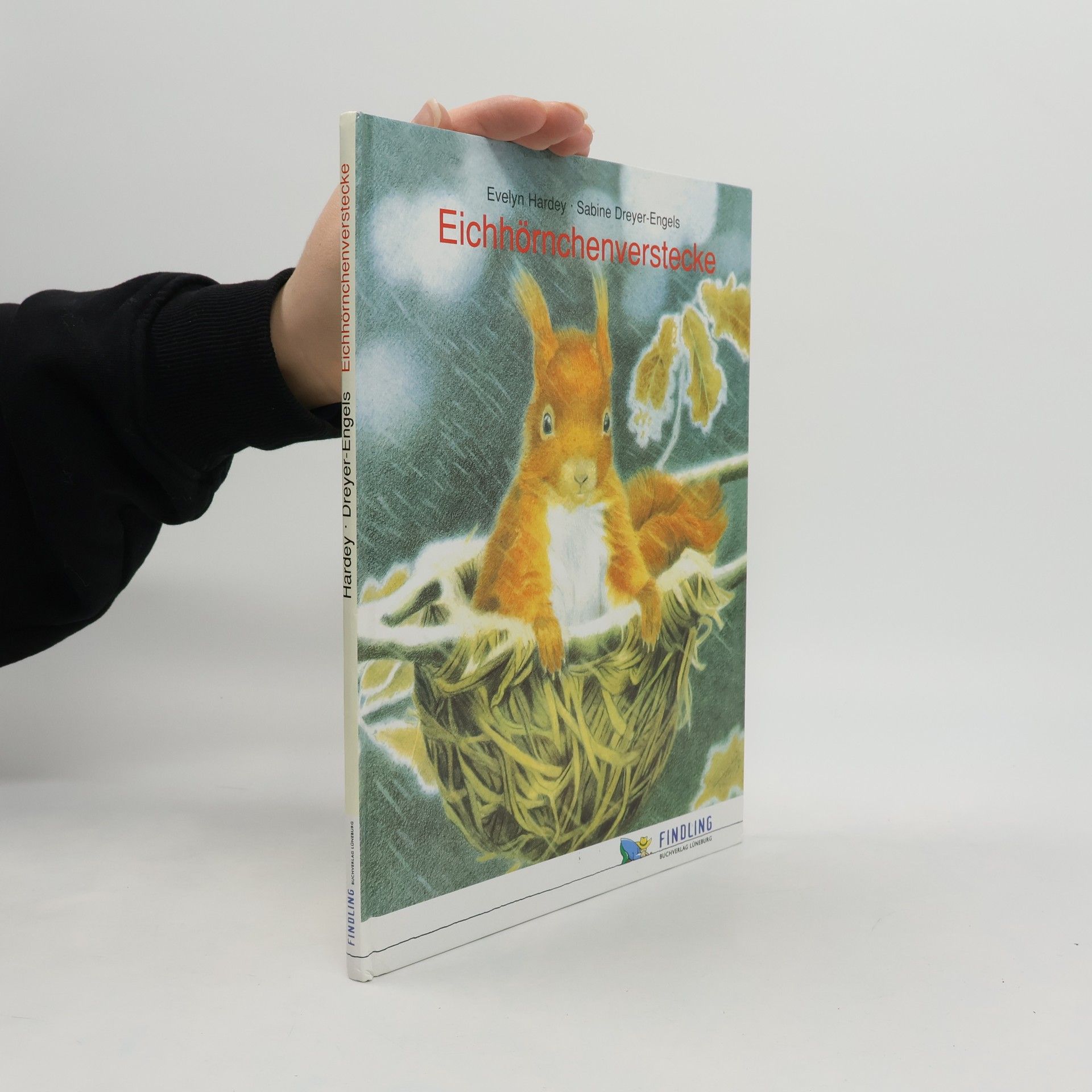 Eichhörnchenverstecke