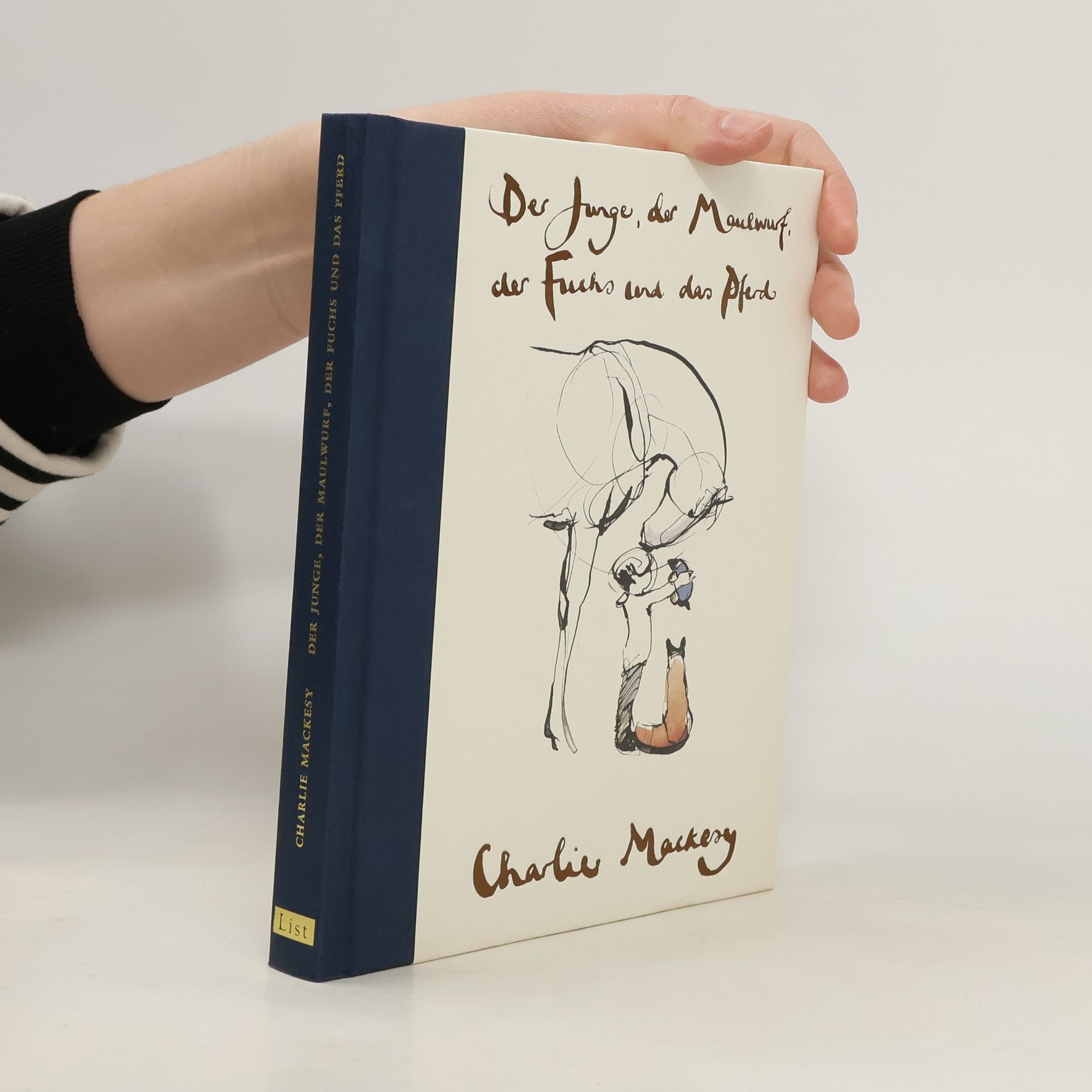 Charlie Mackesy Der Junge, der Maulwurf, der Fuchs und das Pferd