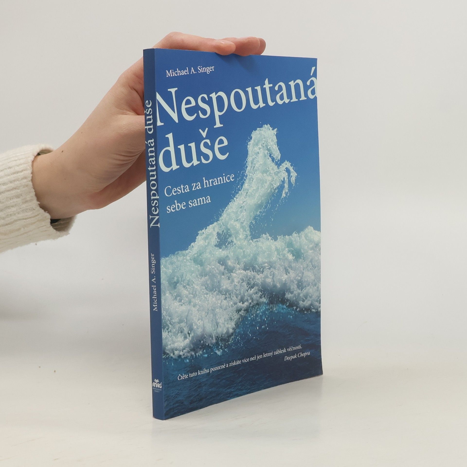 Michael A. Singer Nespoutaná duše