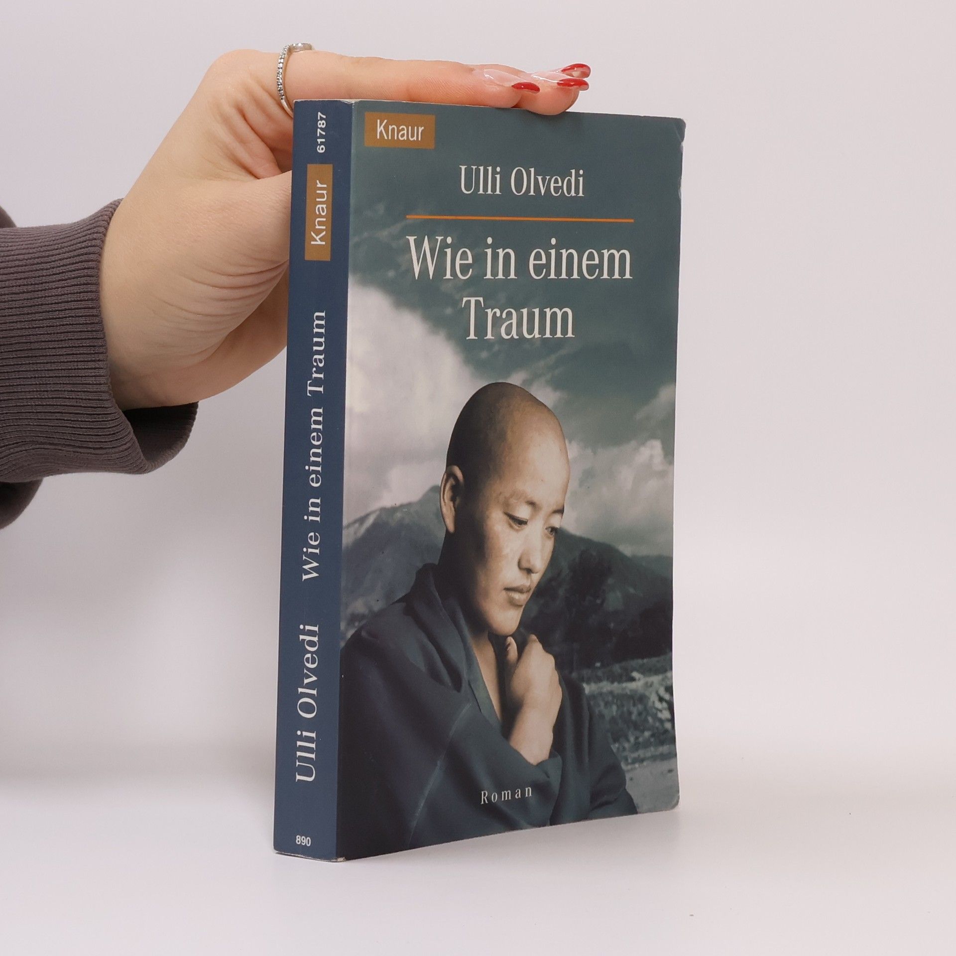 Ulli Olvedi Wie in einem Traum