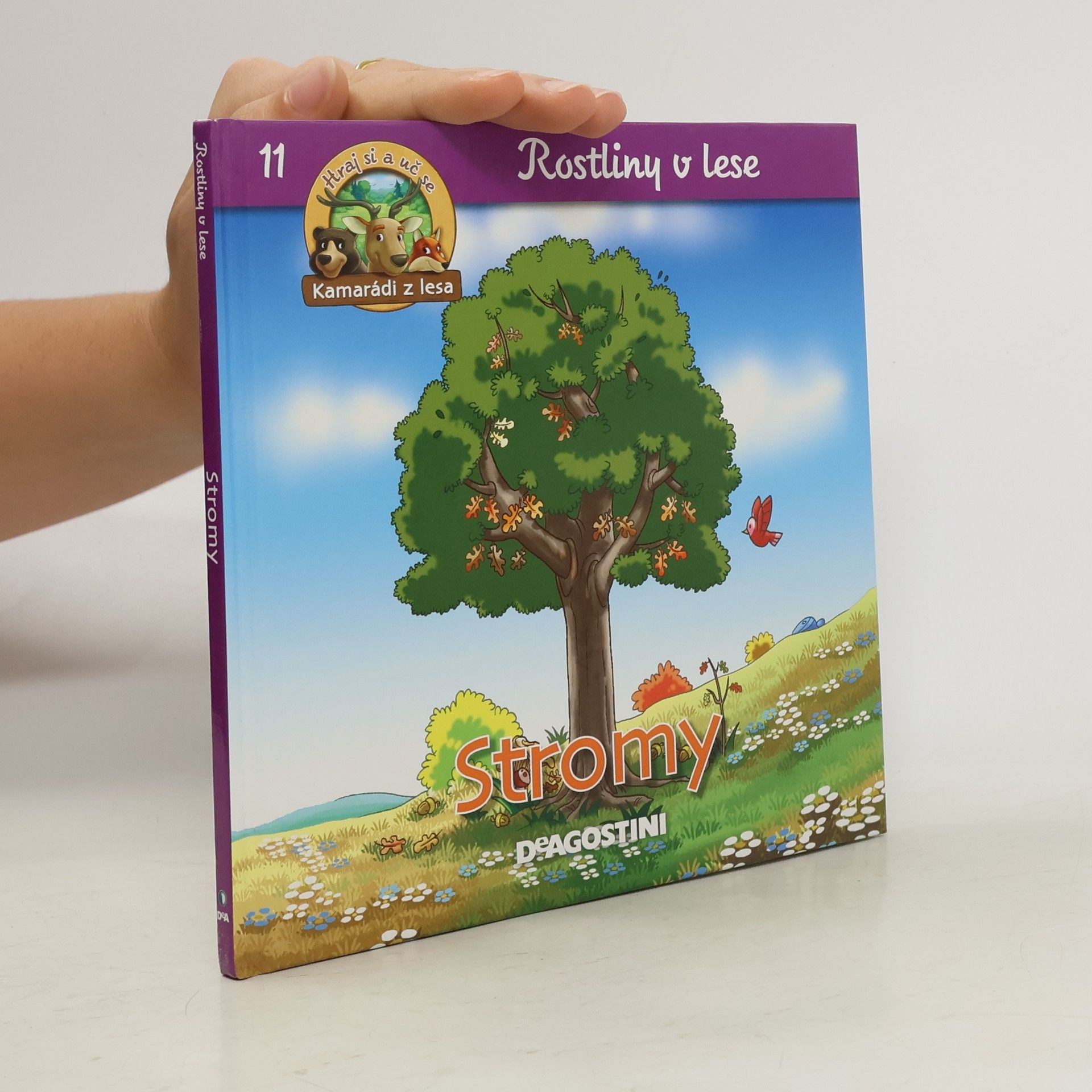 Kolektív autorov Rostliny v lese 11, Stromy