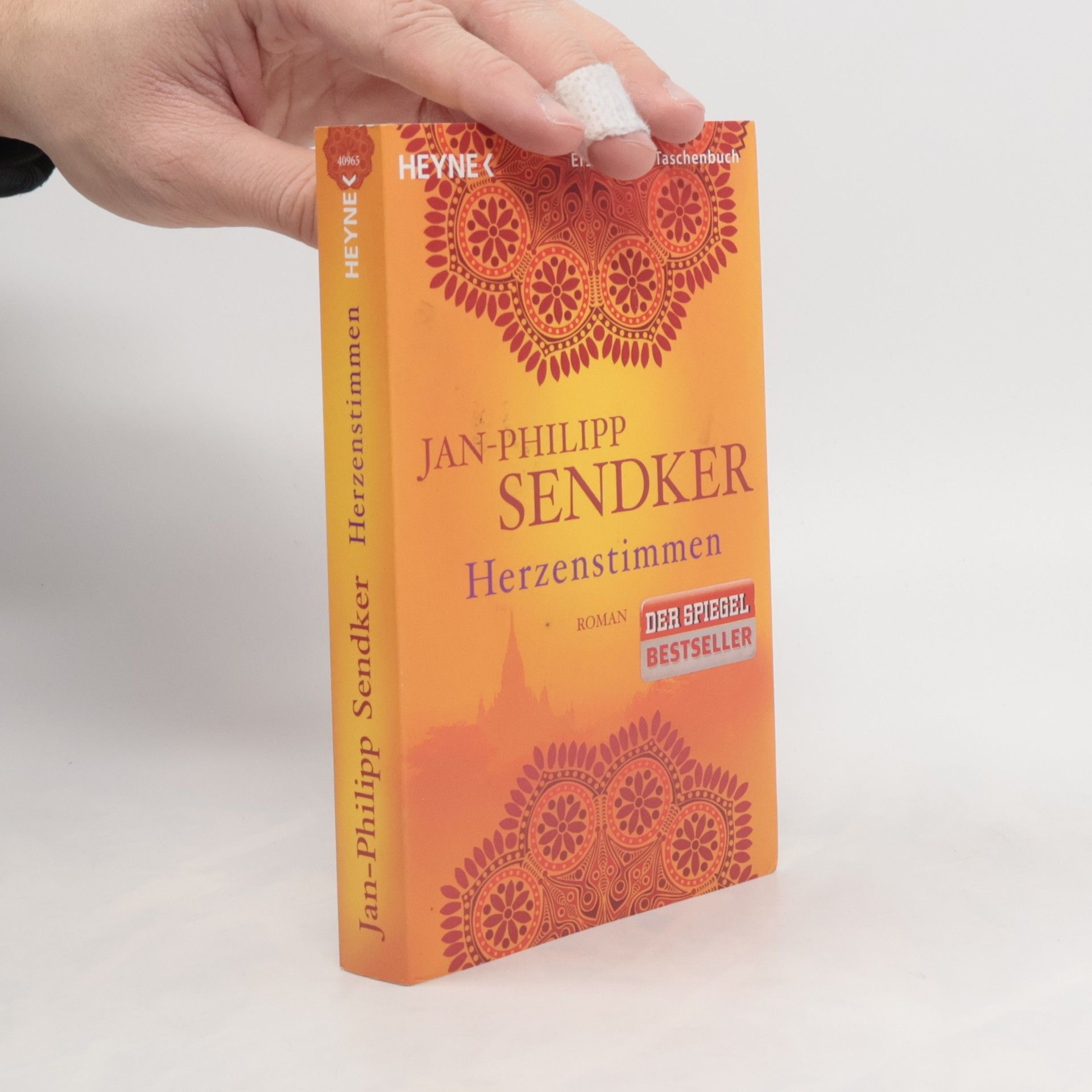 Jan-Philipp Sendker Herzenstimmen