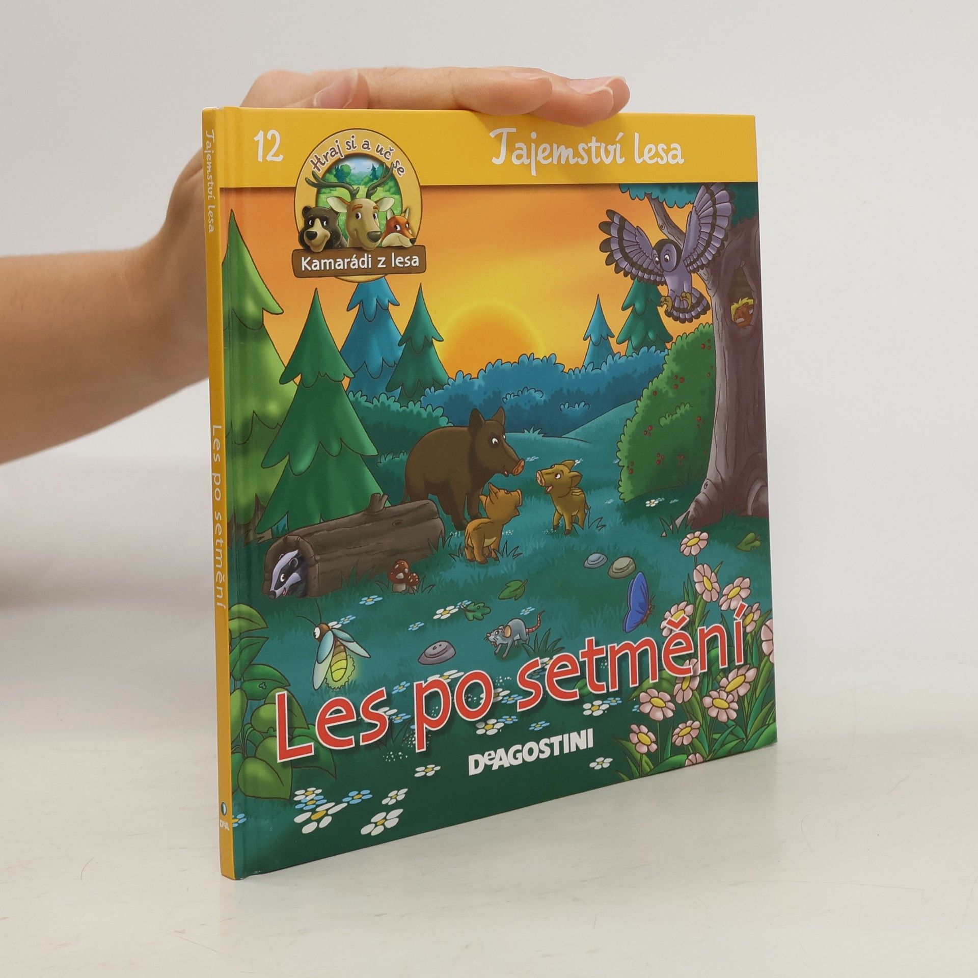 Autorenkollektiv Tajemství lesa 12. Les po setmění