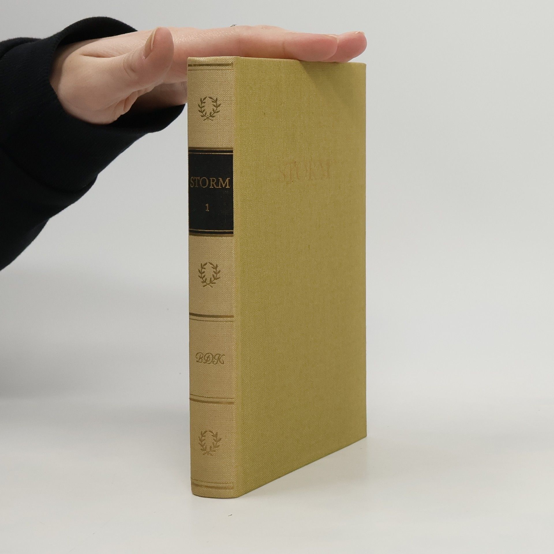 Theodor Storm Storms Werke 1