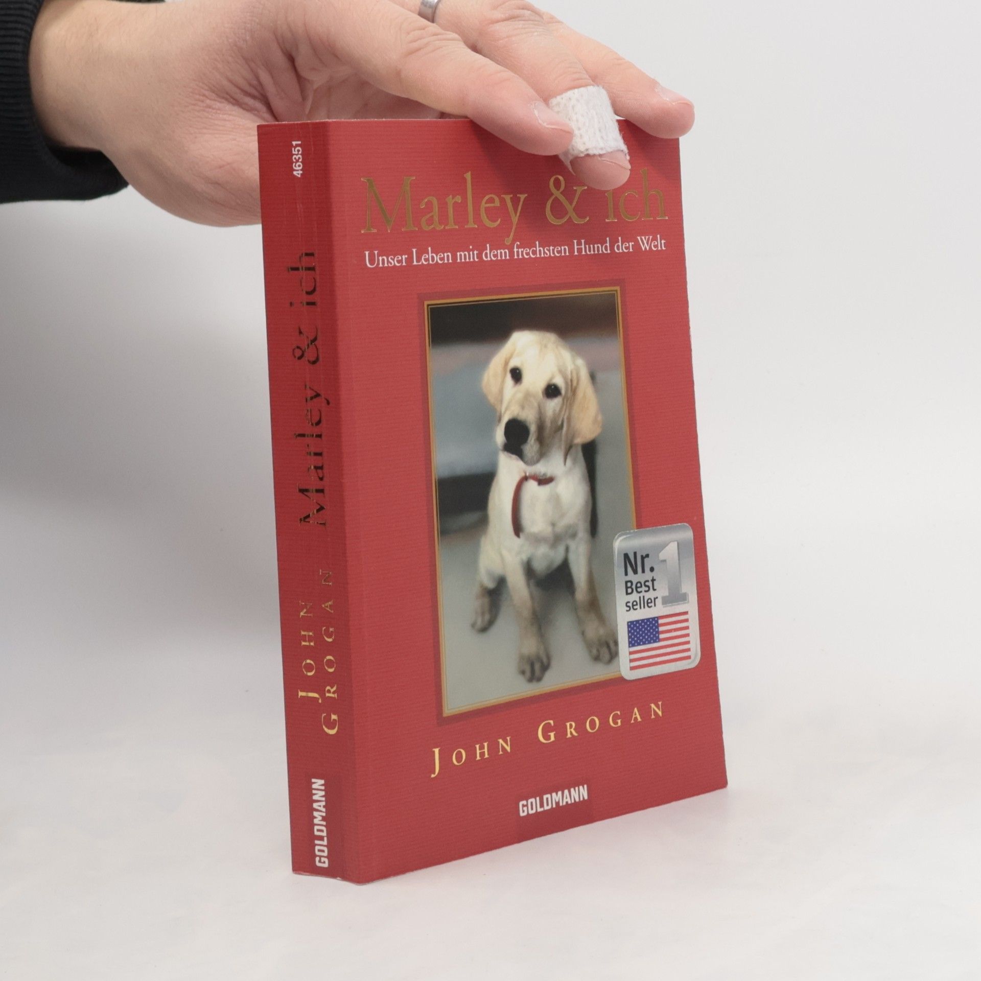 John Grogan Marley & ich