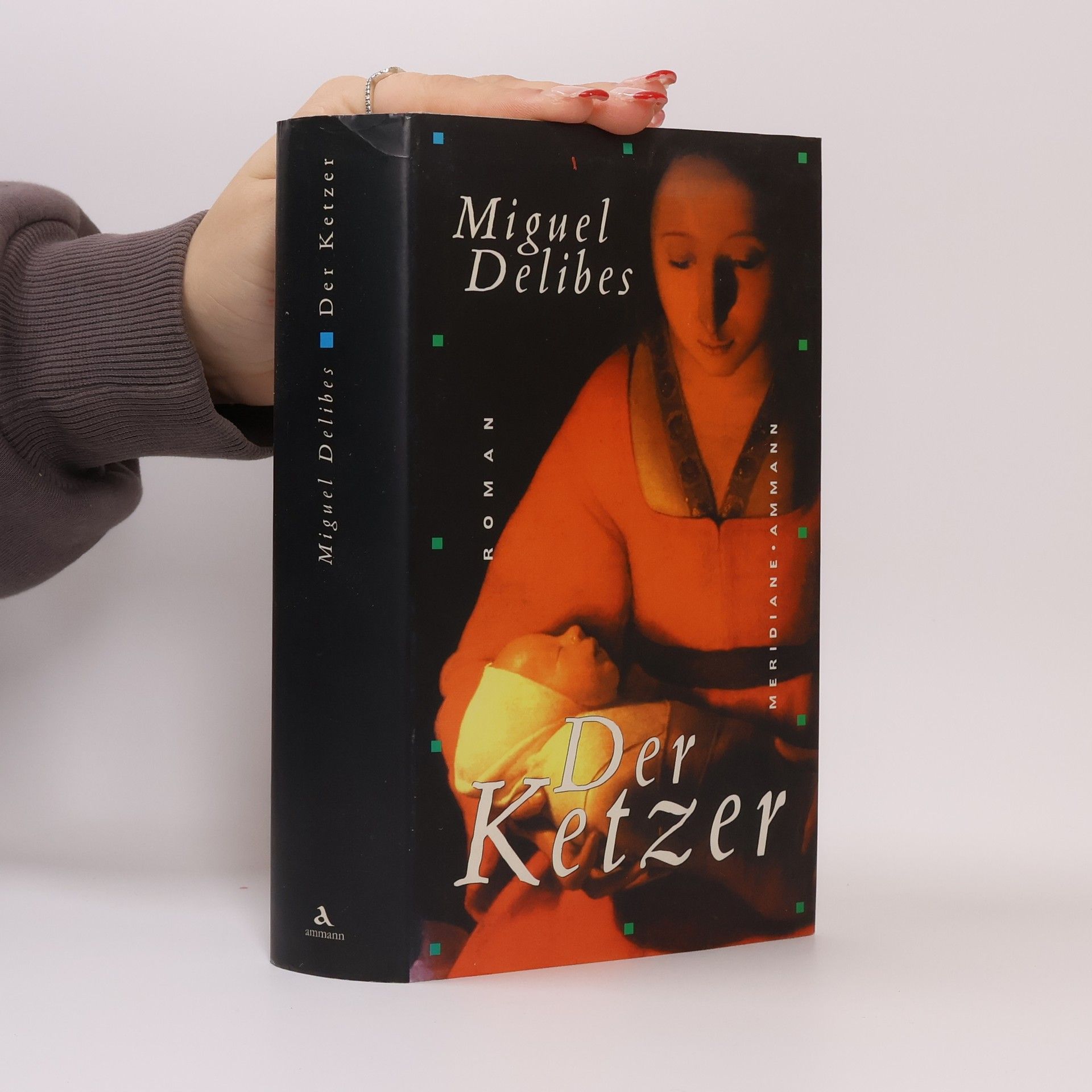 Miguel Delibes Der Ketzer