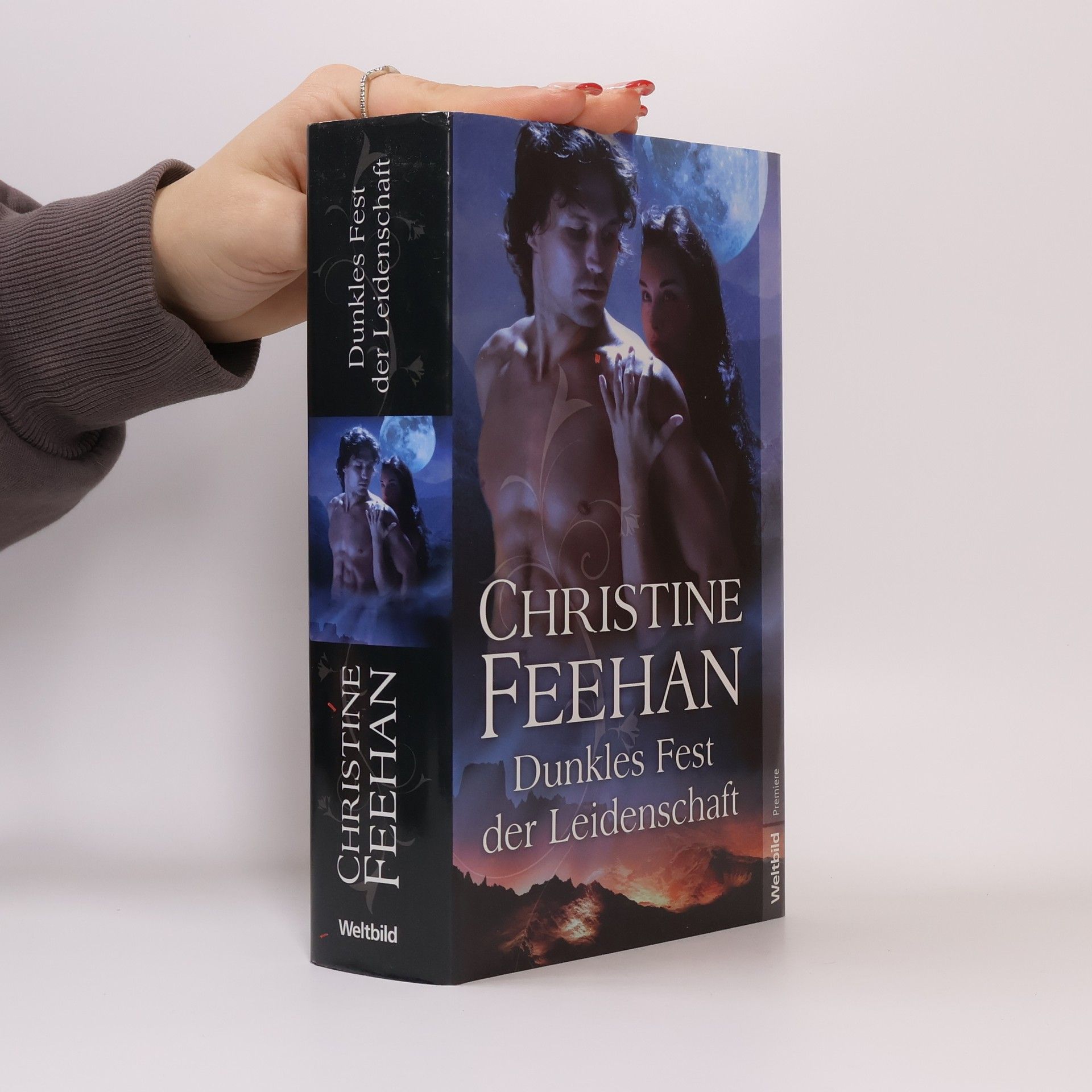 Christine Feehan Dunkles fest der leidenschaft