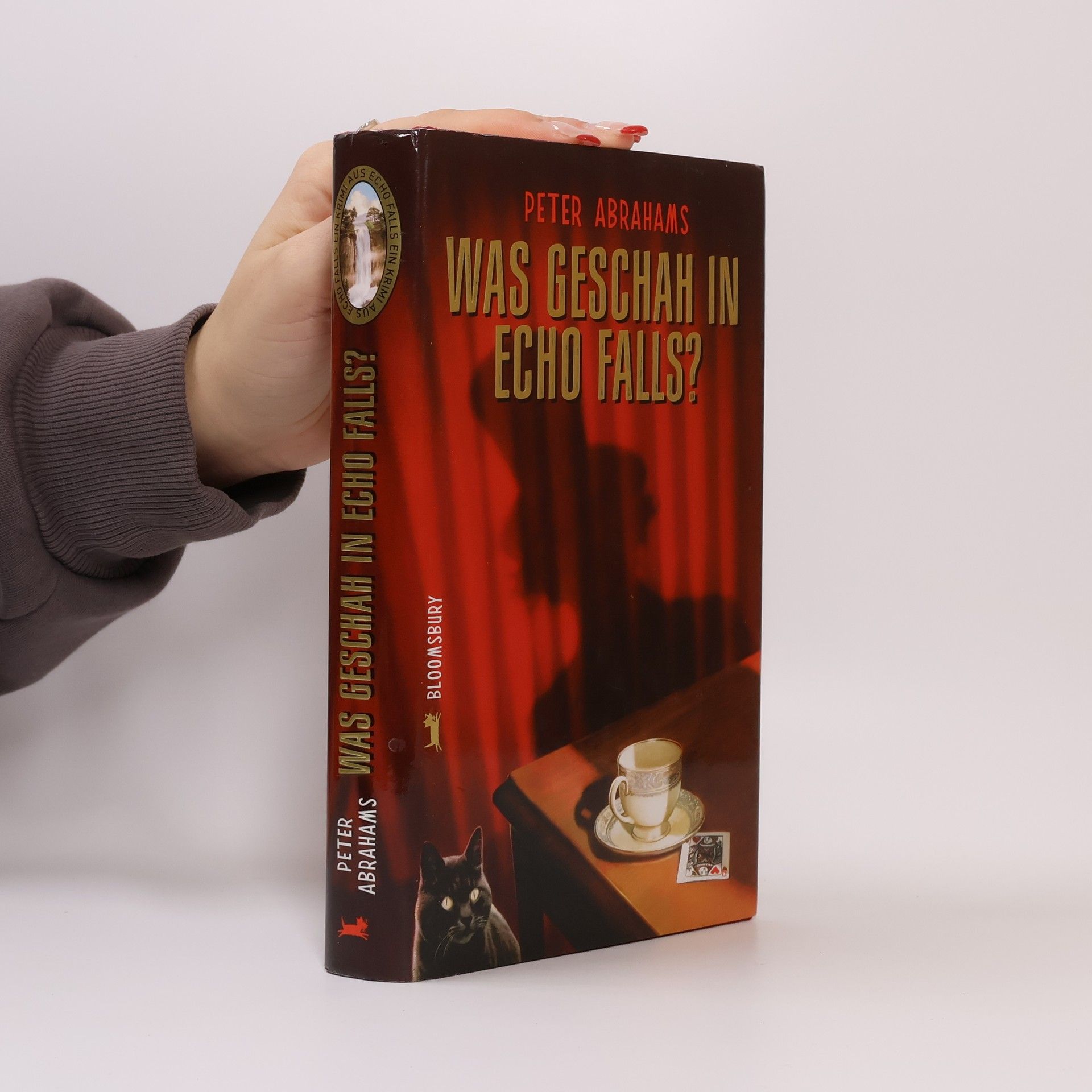 Peter Abrahams Was geschah in Echo Falls?