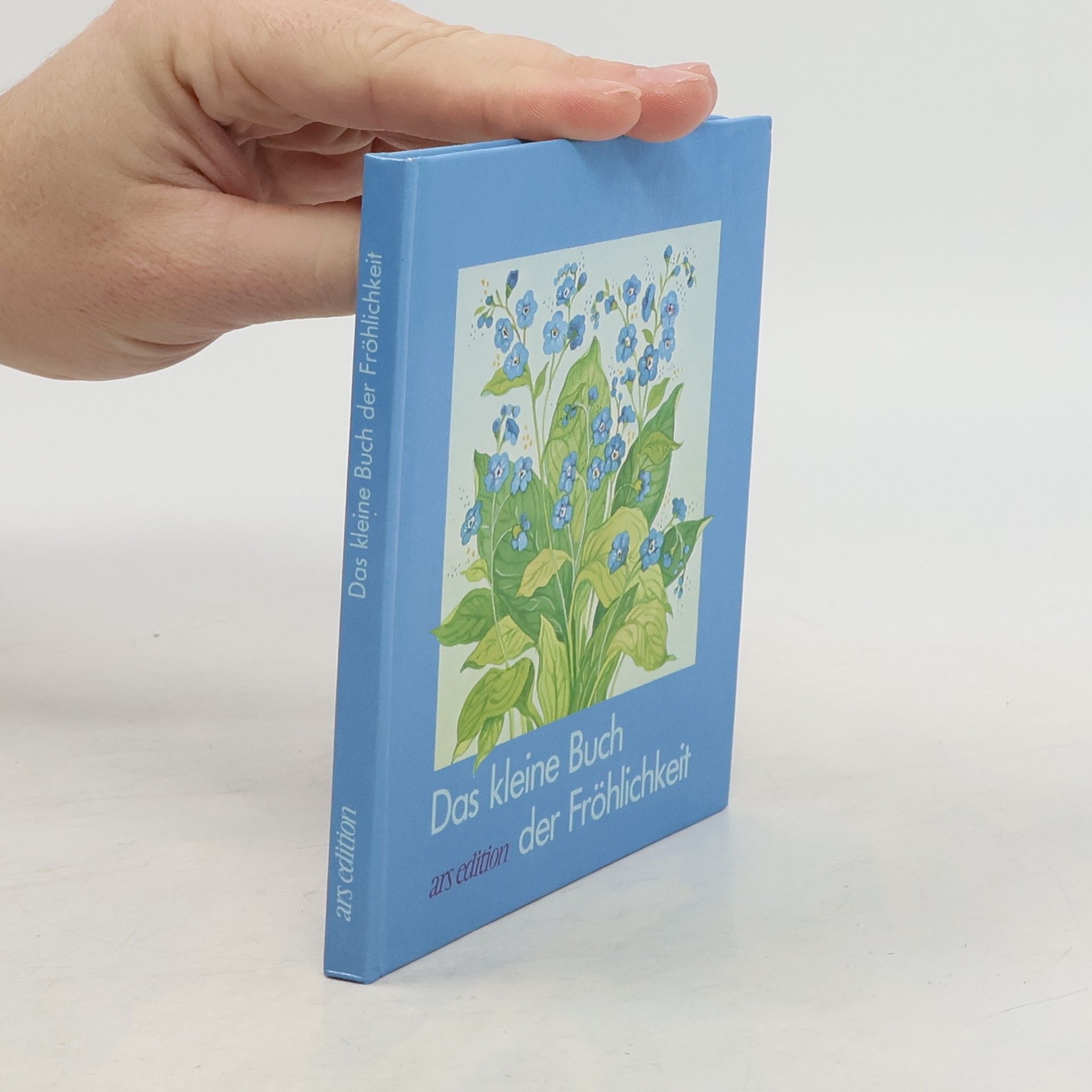 Das kleine Buch der Fröhlichkeit