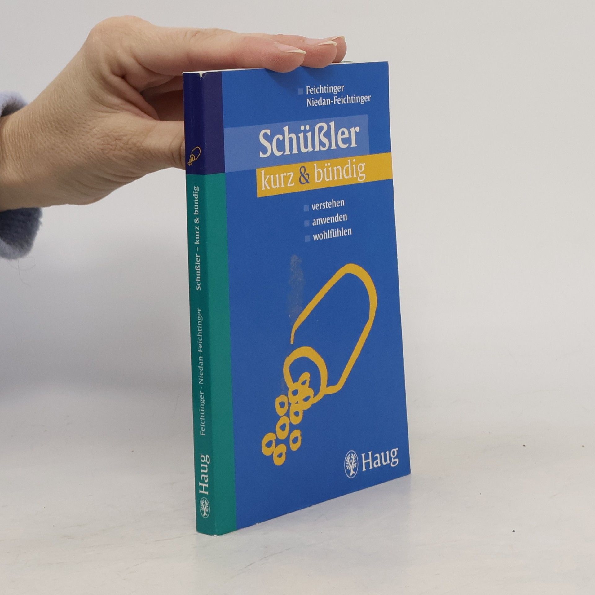 Thomas Feichtinger Schüßler kurz & bündig