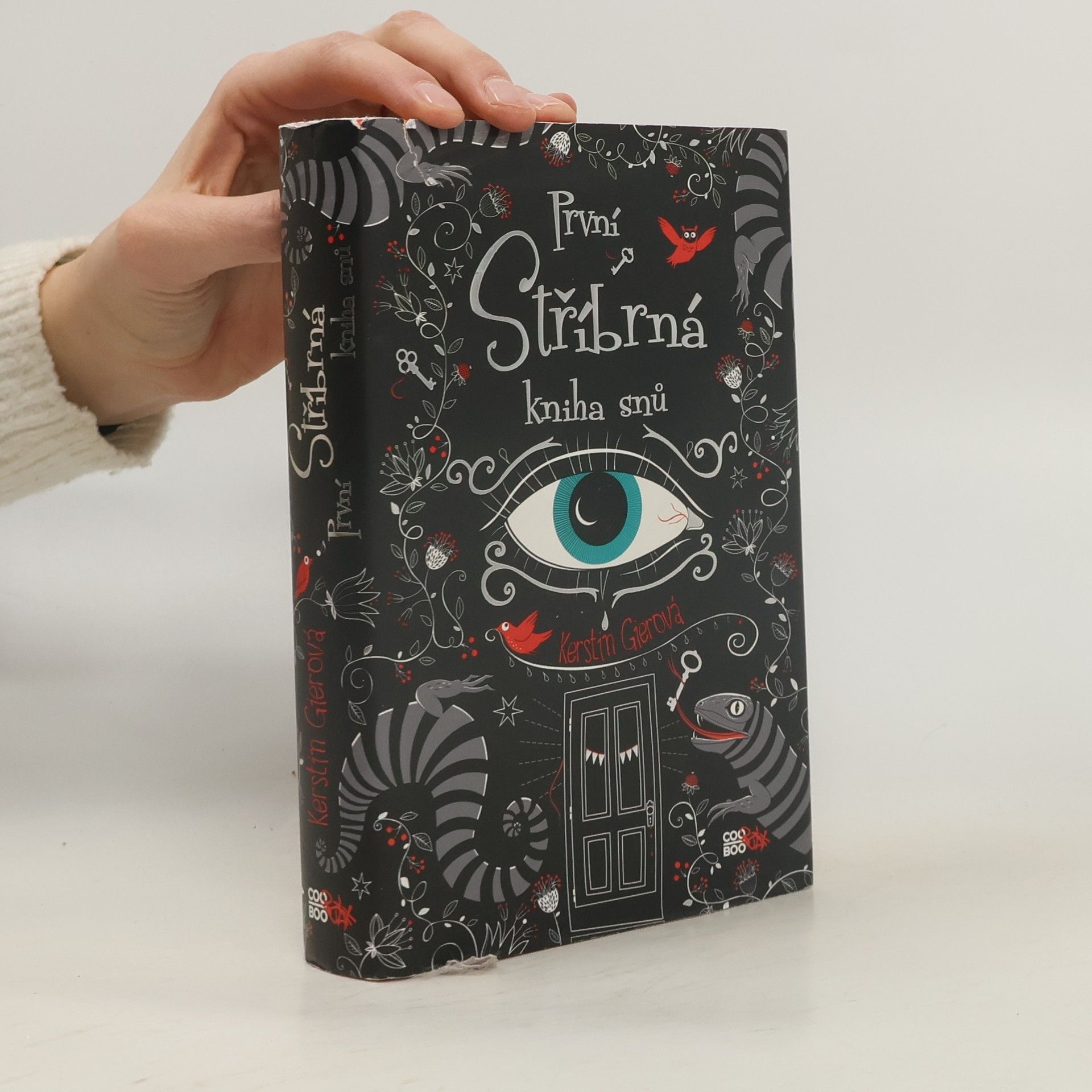 Kerstin Gier První stříbrná kniha snů