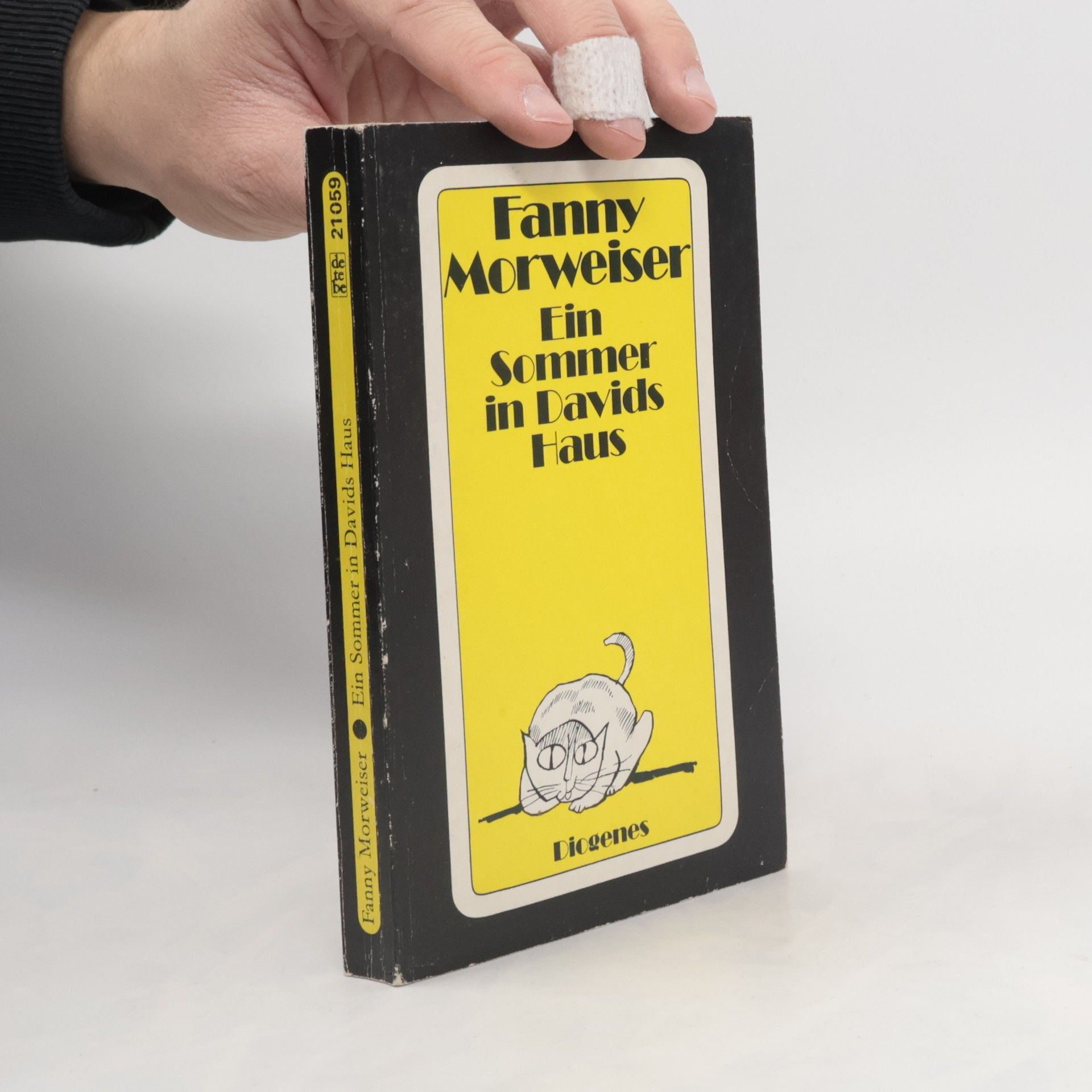 Ein Sommer in Davids Haus