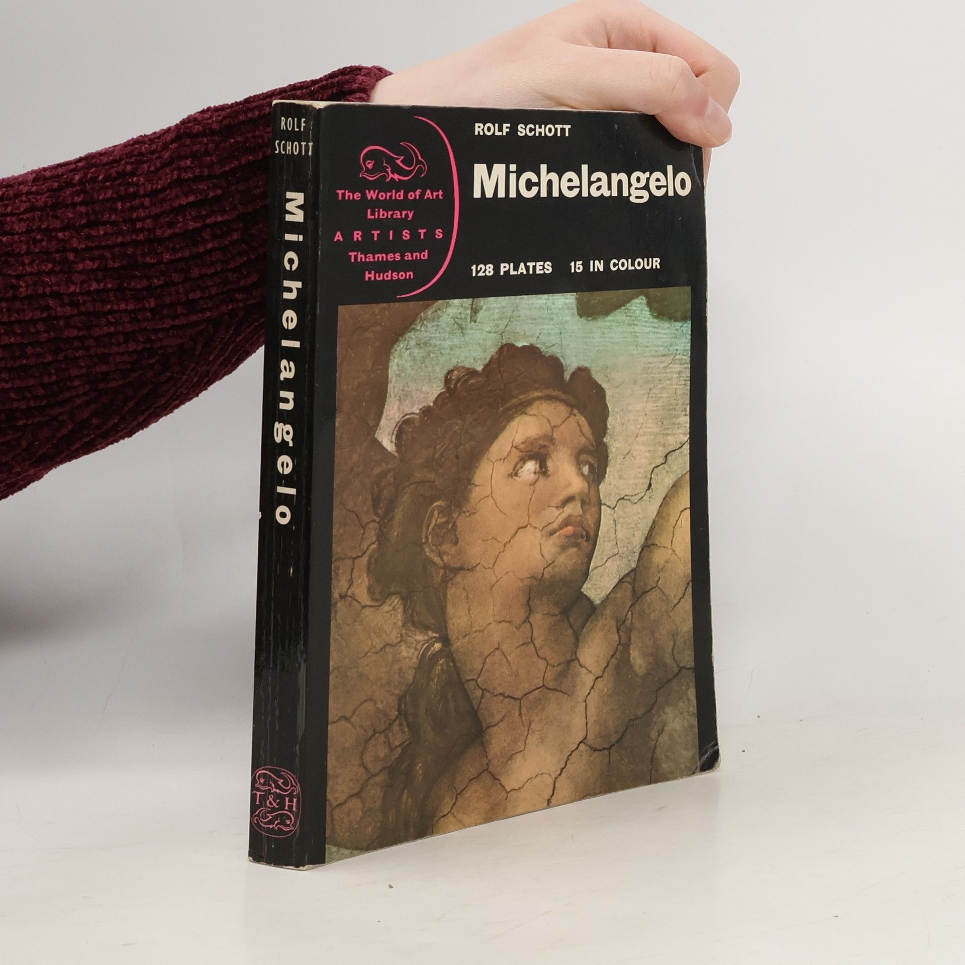 The World of Art Library: Artists: Michelangelo