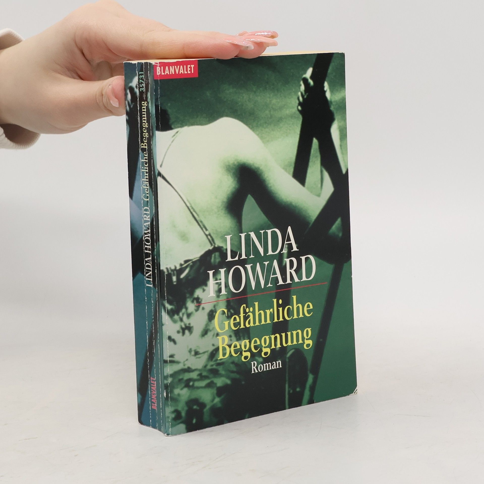 Linda Howard Gefährliche Begegnung