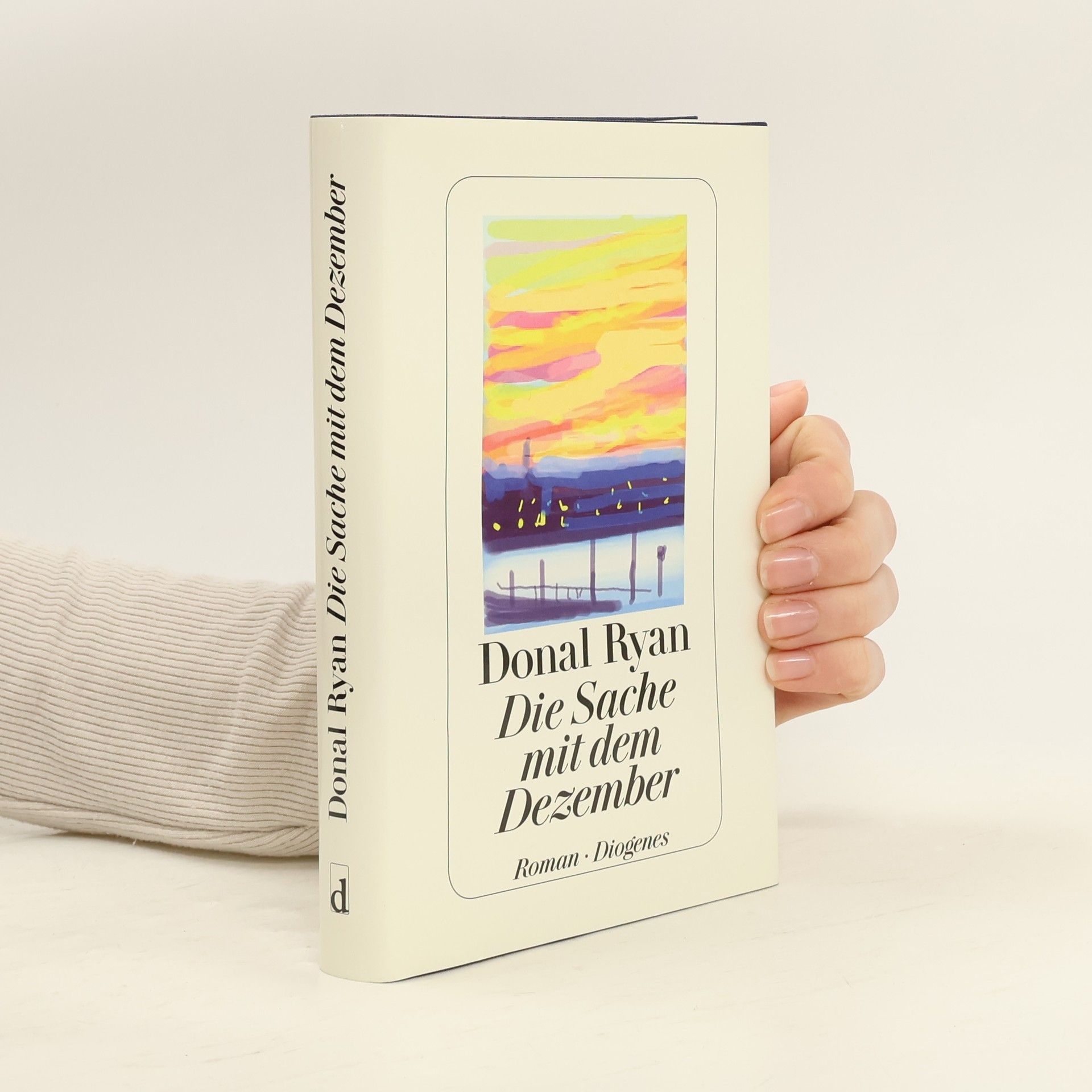 Donal Ryan Die Sache mit dem Dezember