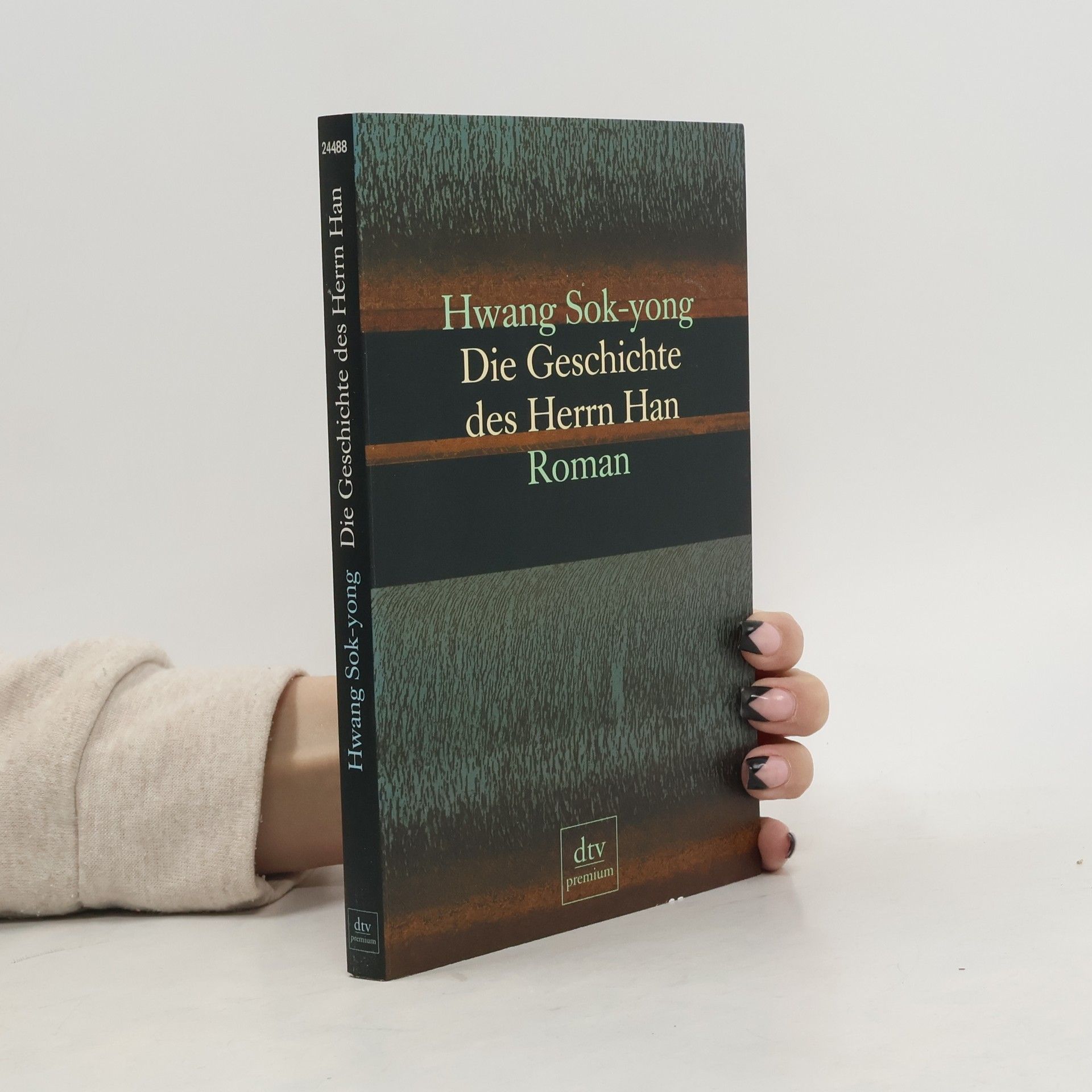 Seog yeong Hwang Die Geschichte des Herrn Han