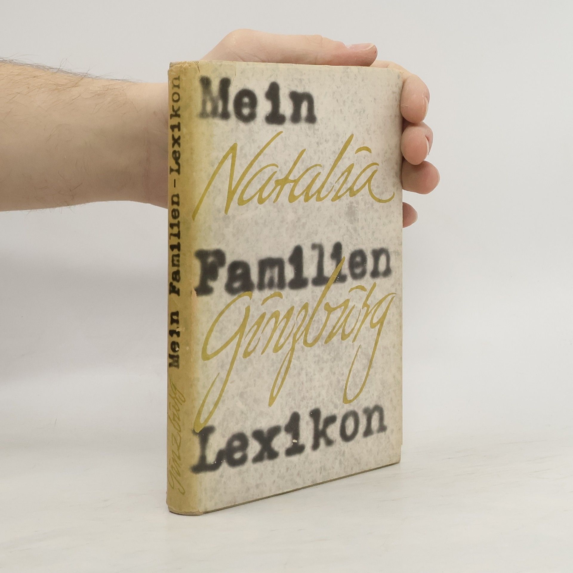 Natalia Ginzburg Mein Familien Lexikon