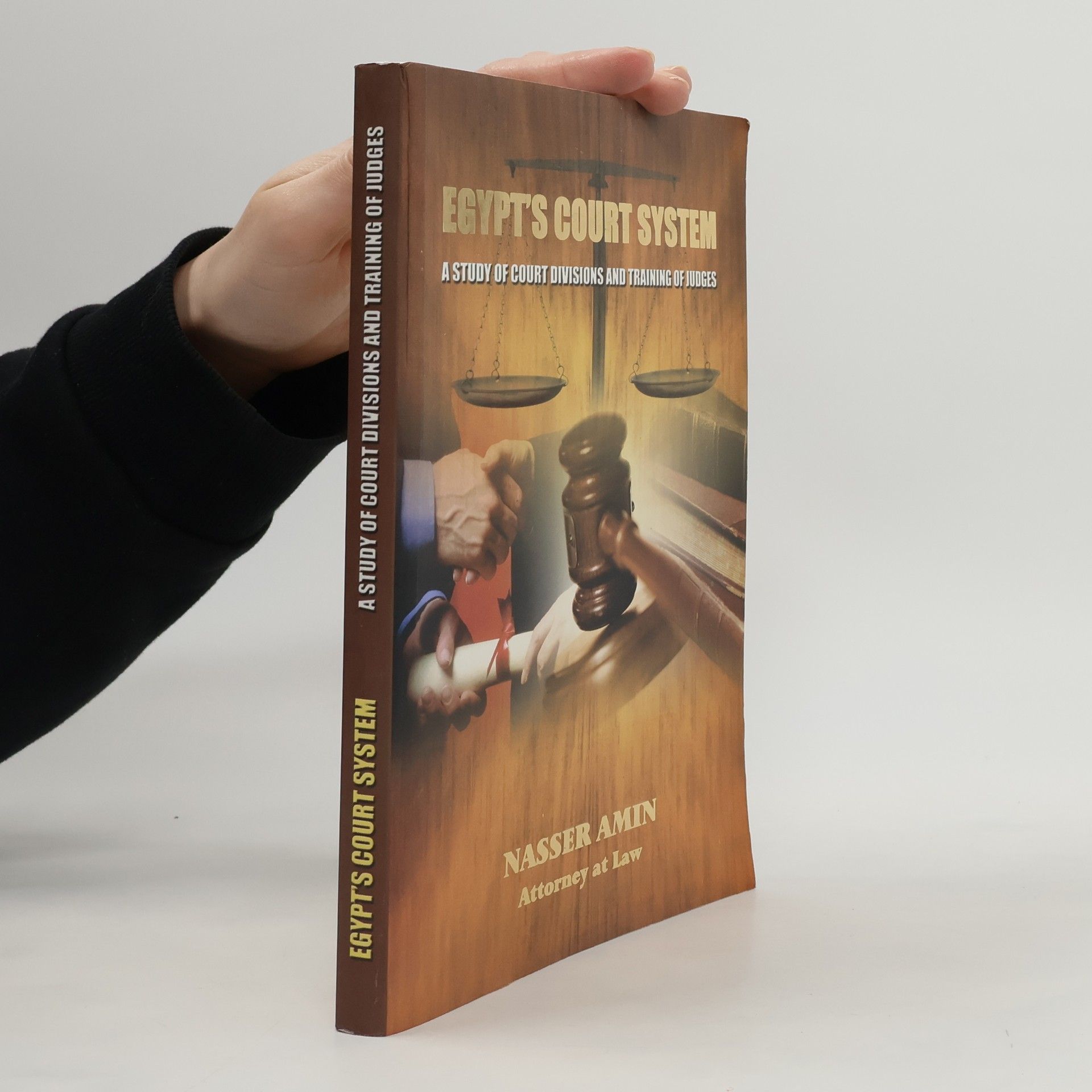 Auteurscollectief Egypt's Court System