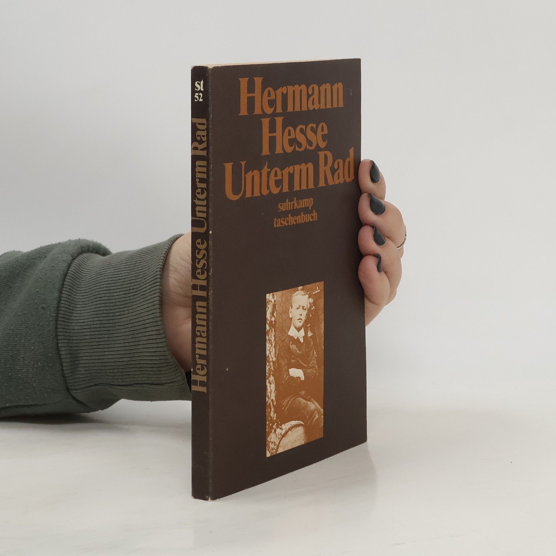 Hermann Hesse Unterm Rad