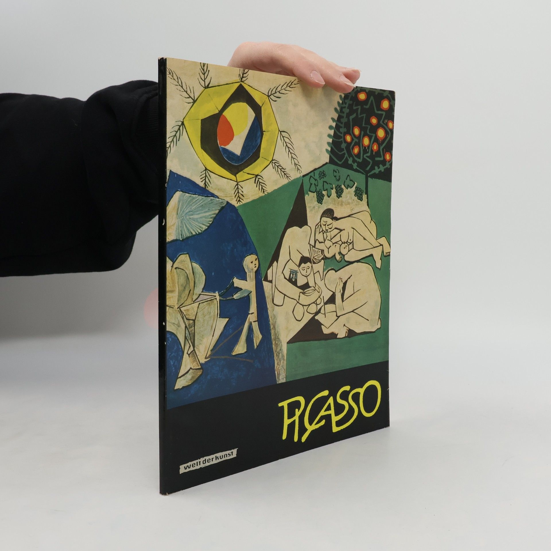 Collectif d'auteurs Picasso