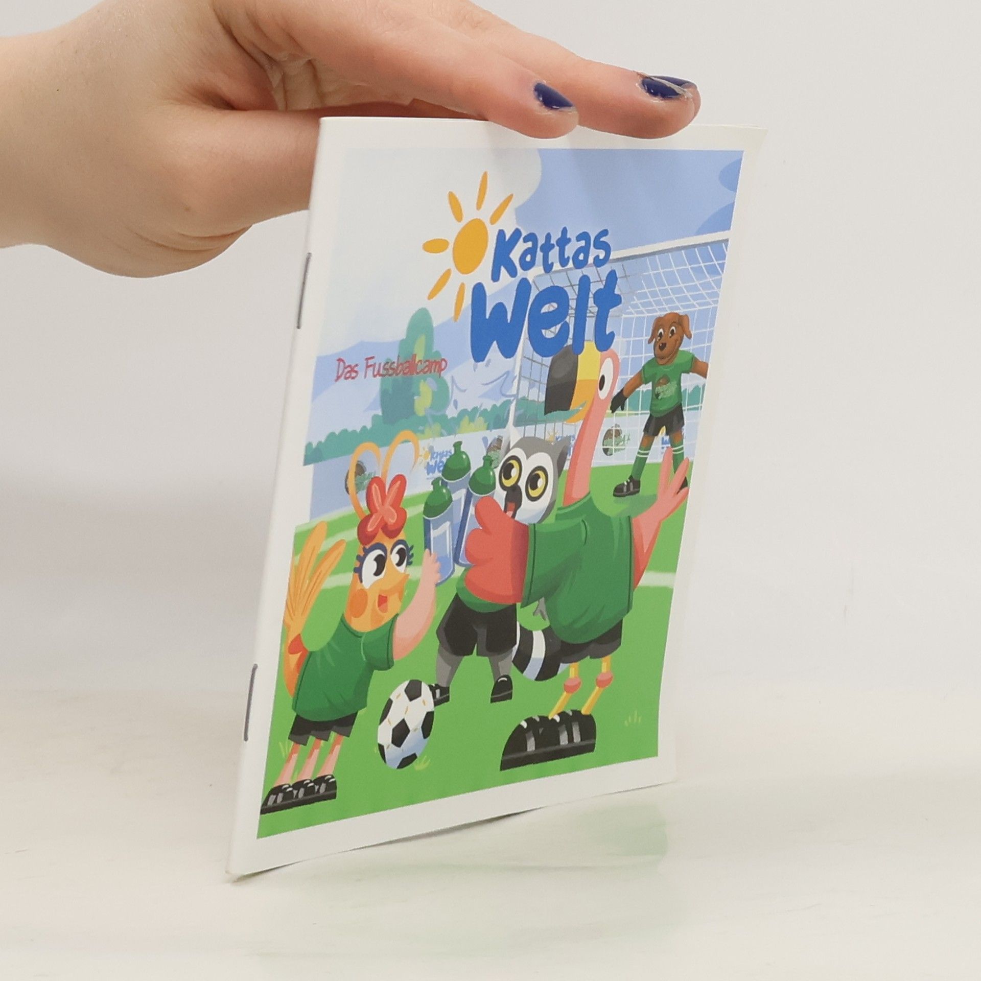 Autorenkollektiv Kattas Welt. Das Fussballcamp